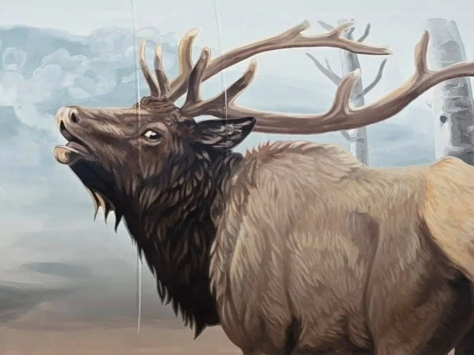 Elk in Winter - Westcliffe, CO
Winter elk mural
