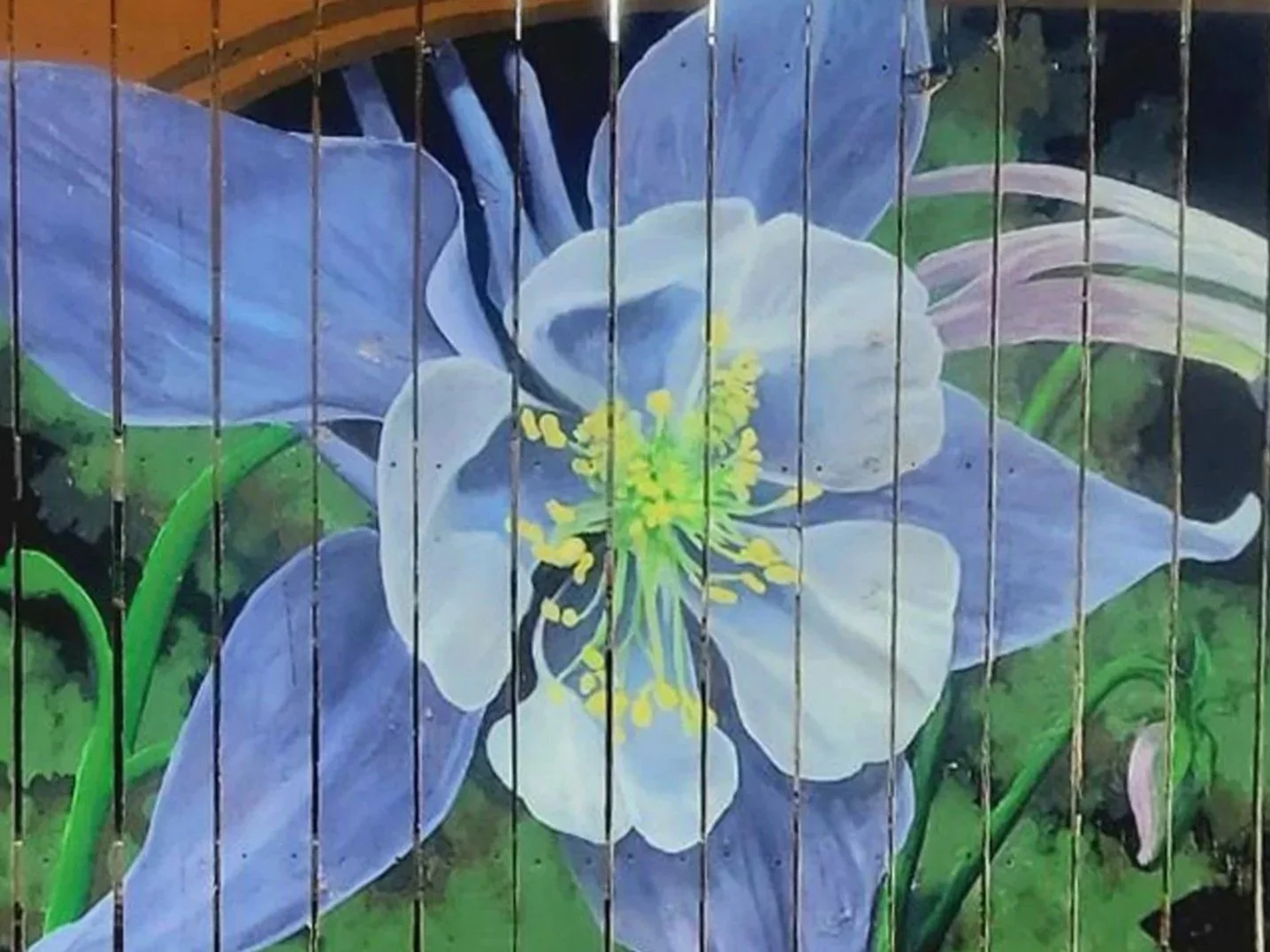 Columbines on Fence - Westcliffe, CO
Exterior fence mural of Columbines