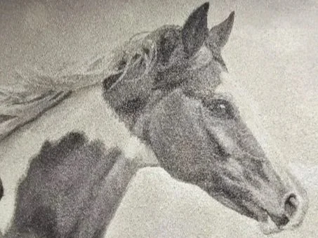 Grey-Scale Horses Mural - Westcliffe, CO
One of a 3-part series of murals in the Custer County Health Center