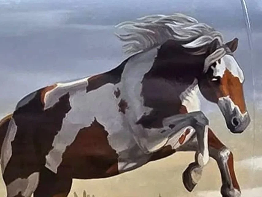 Running Horses - Westcliffe, CO
Mural of horses in motion on large propane tank