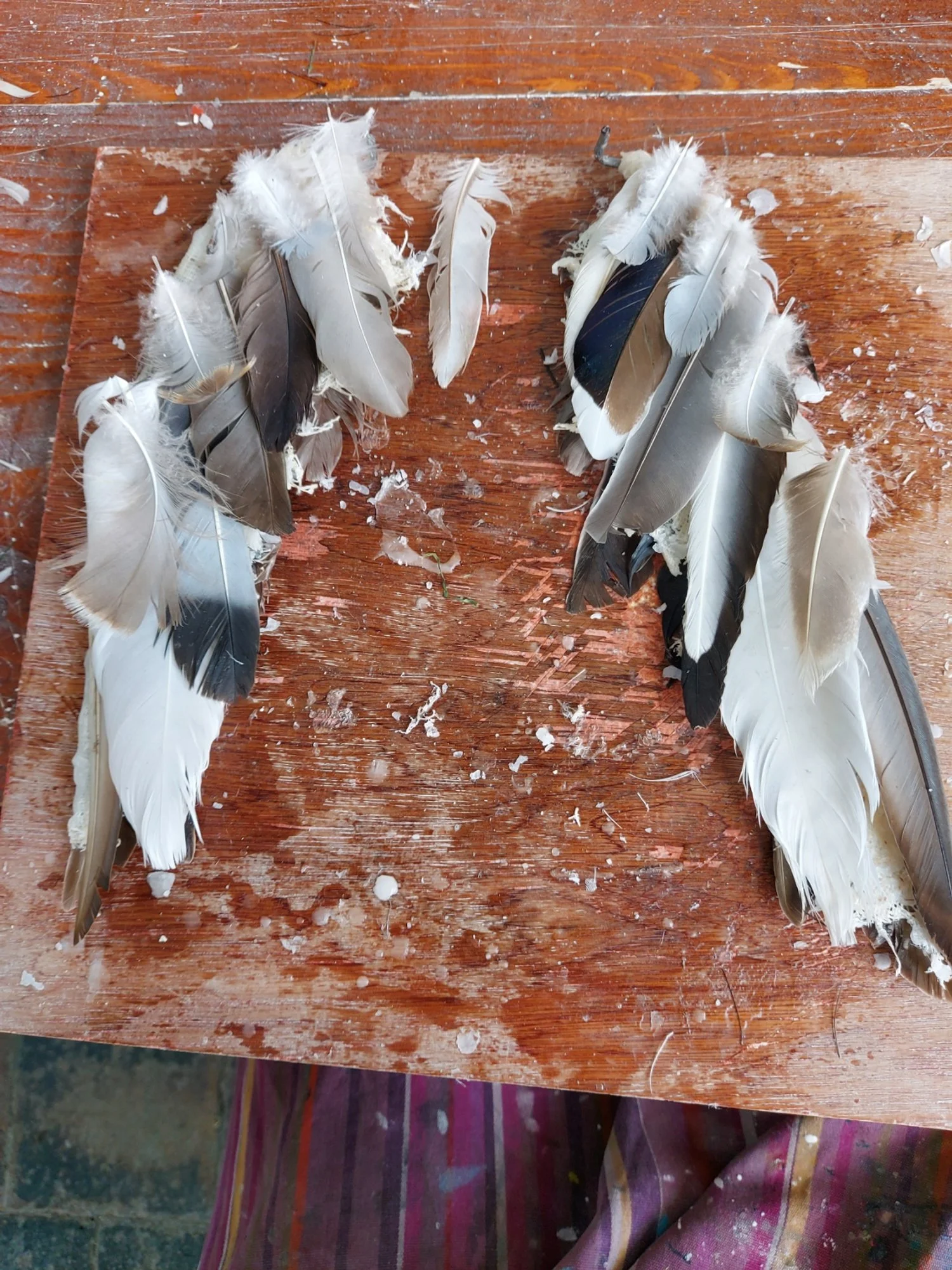 Artist Anna Donovan ceramics sculpture icarus daedalus soldering wings in progress.jpg