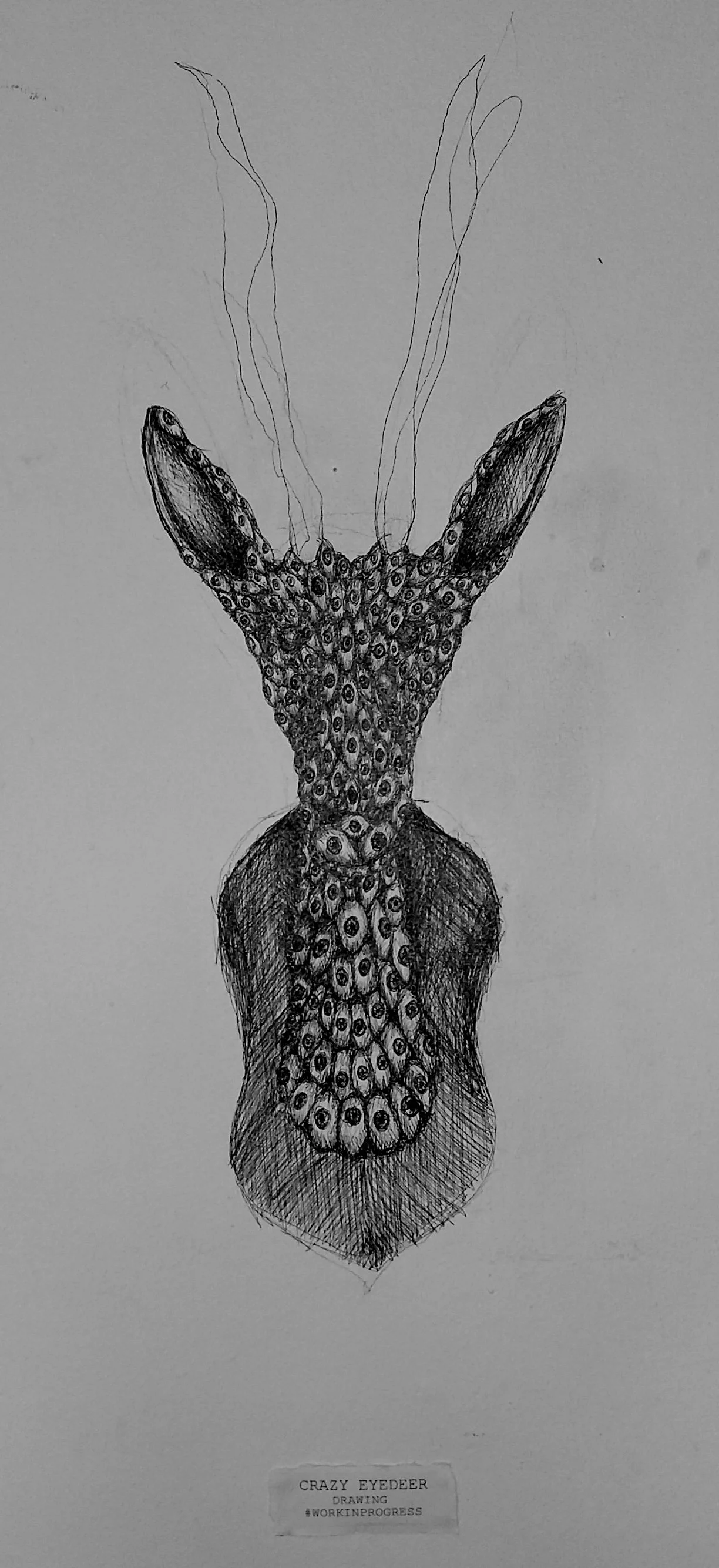 Work In Progress 2017 - Crazy Eyed Deer drawn onto gallery wall.