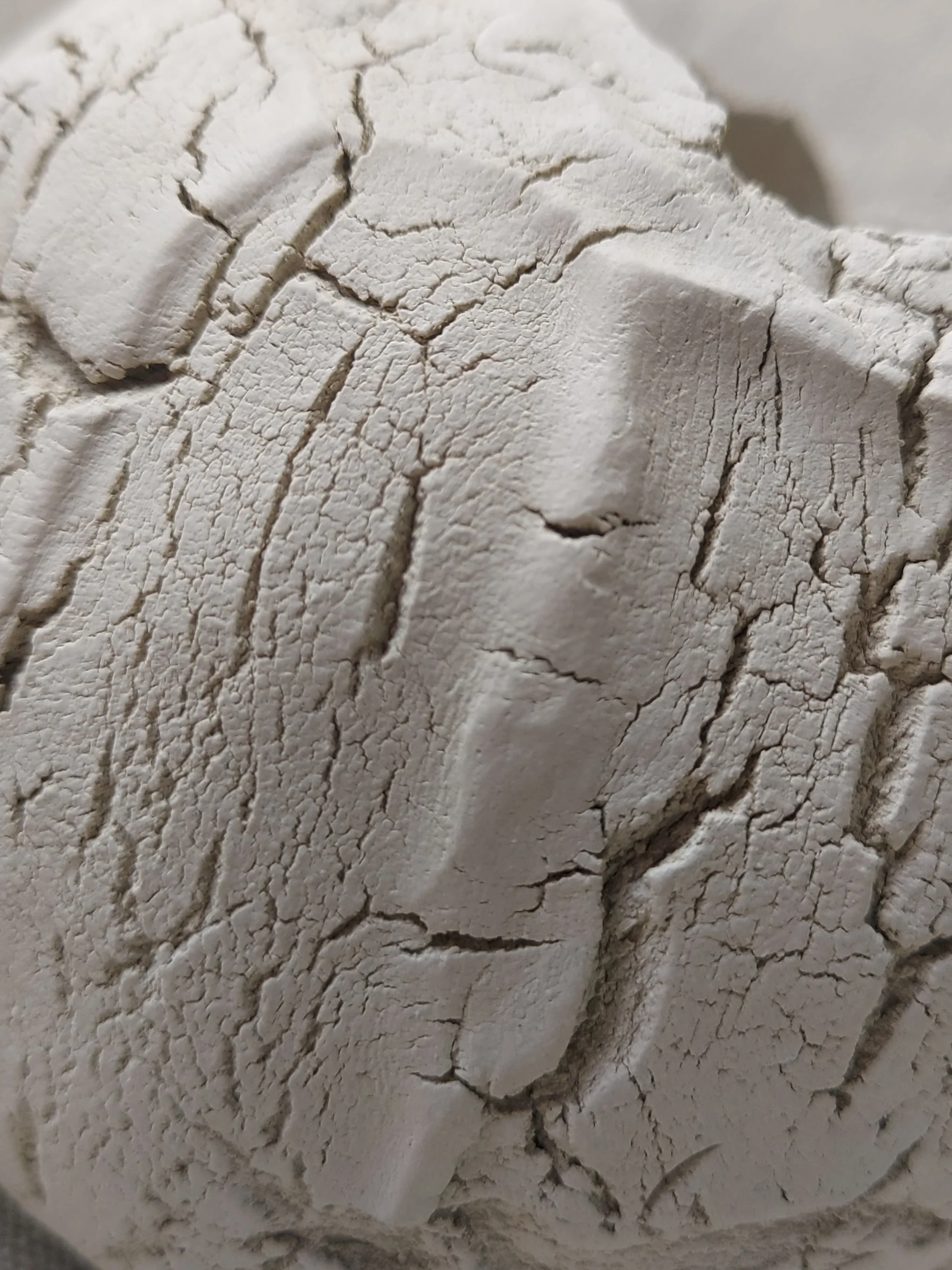 20250604_131223.jpg (Copy)