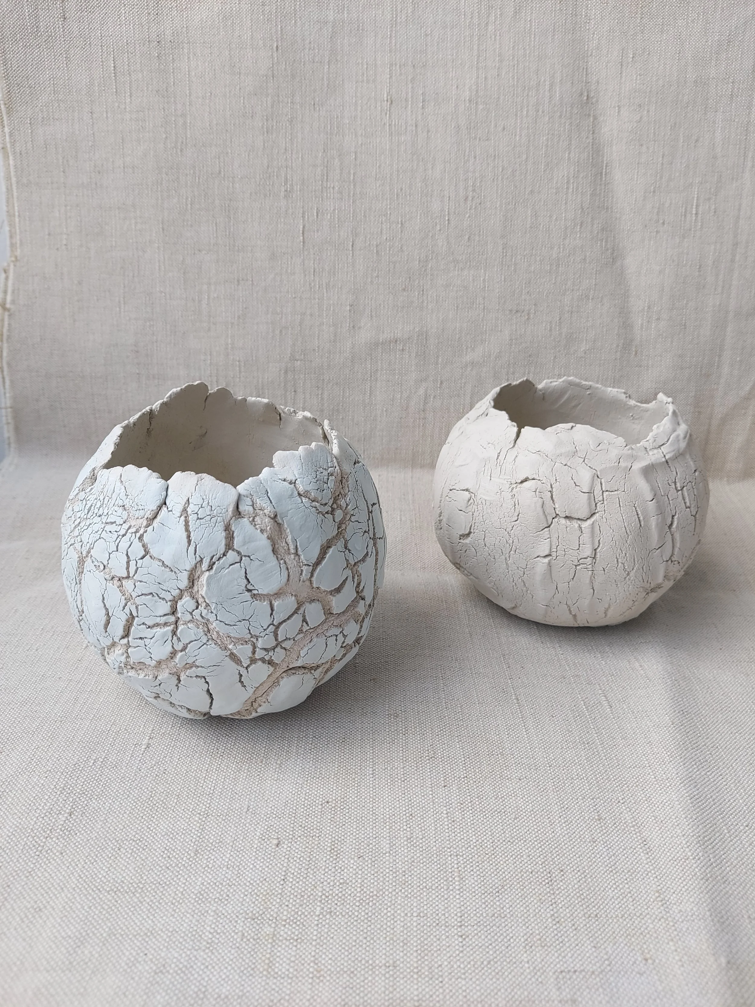 20250604_131159.jpg (Copy)