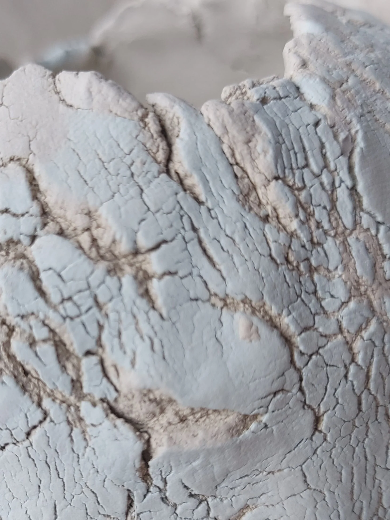 20250604_131216.jpg (Copy)