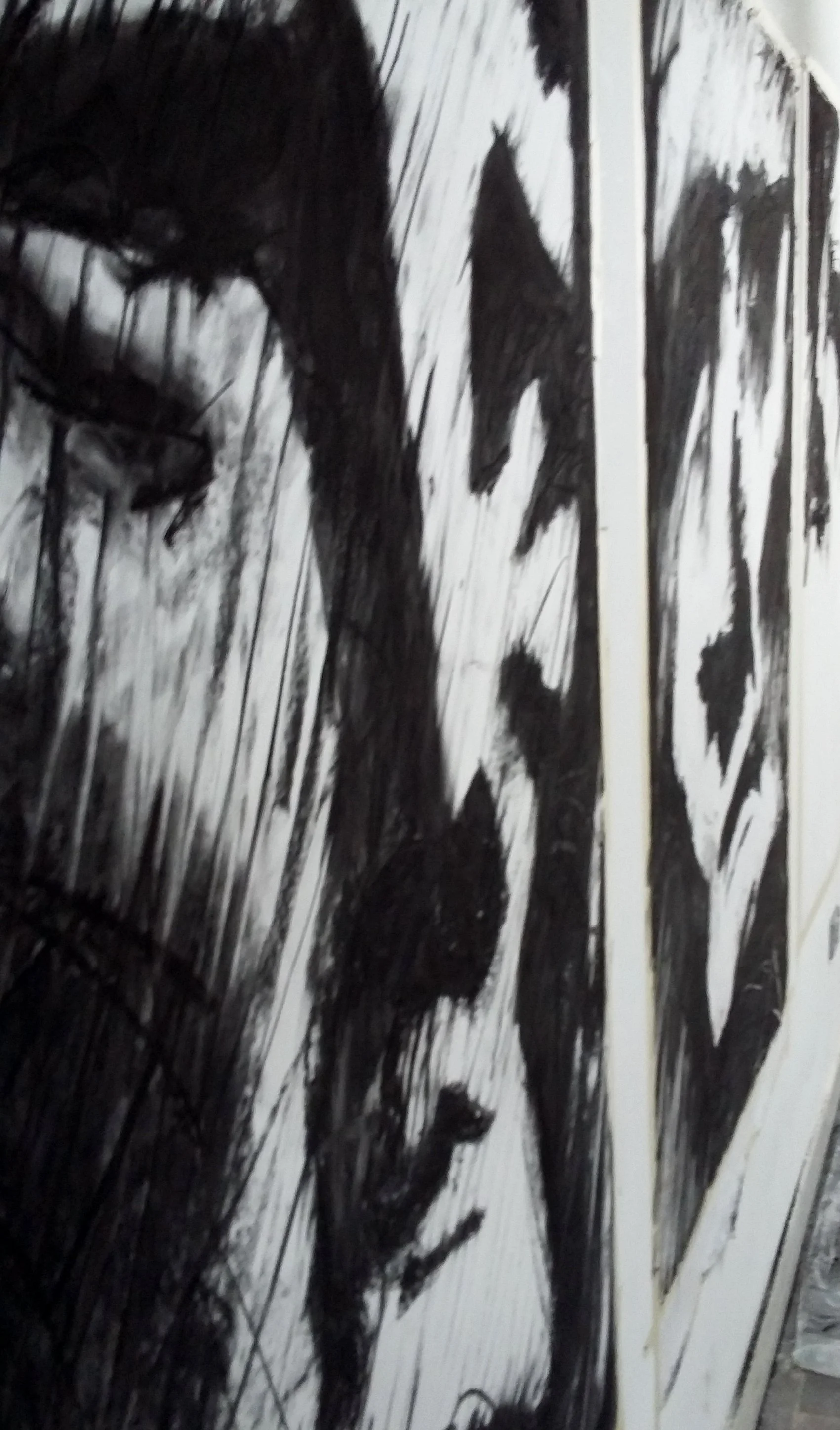 Strings Attached Installation 2017 -      
Part of the installation was these four massive charcoal drawings. These were from ink sketches I made when on a trip to Italy. It was in the Siena Cathedral, Santa Maria Assunta.