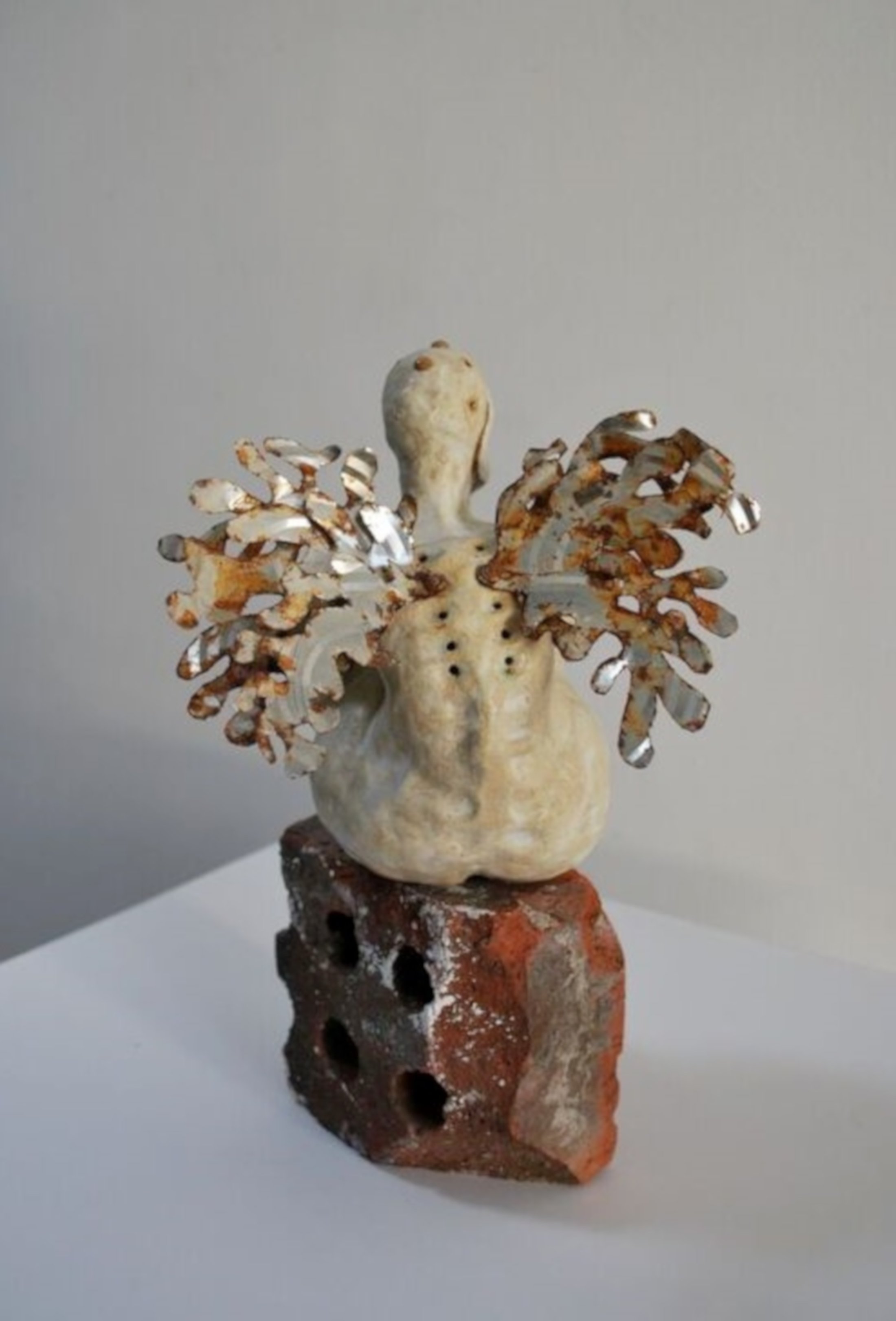 Wallflower 2017 back 