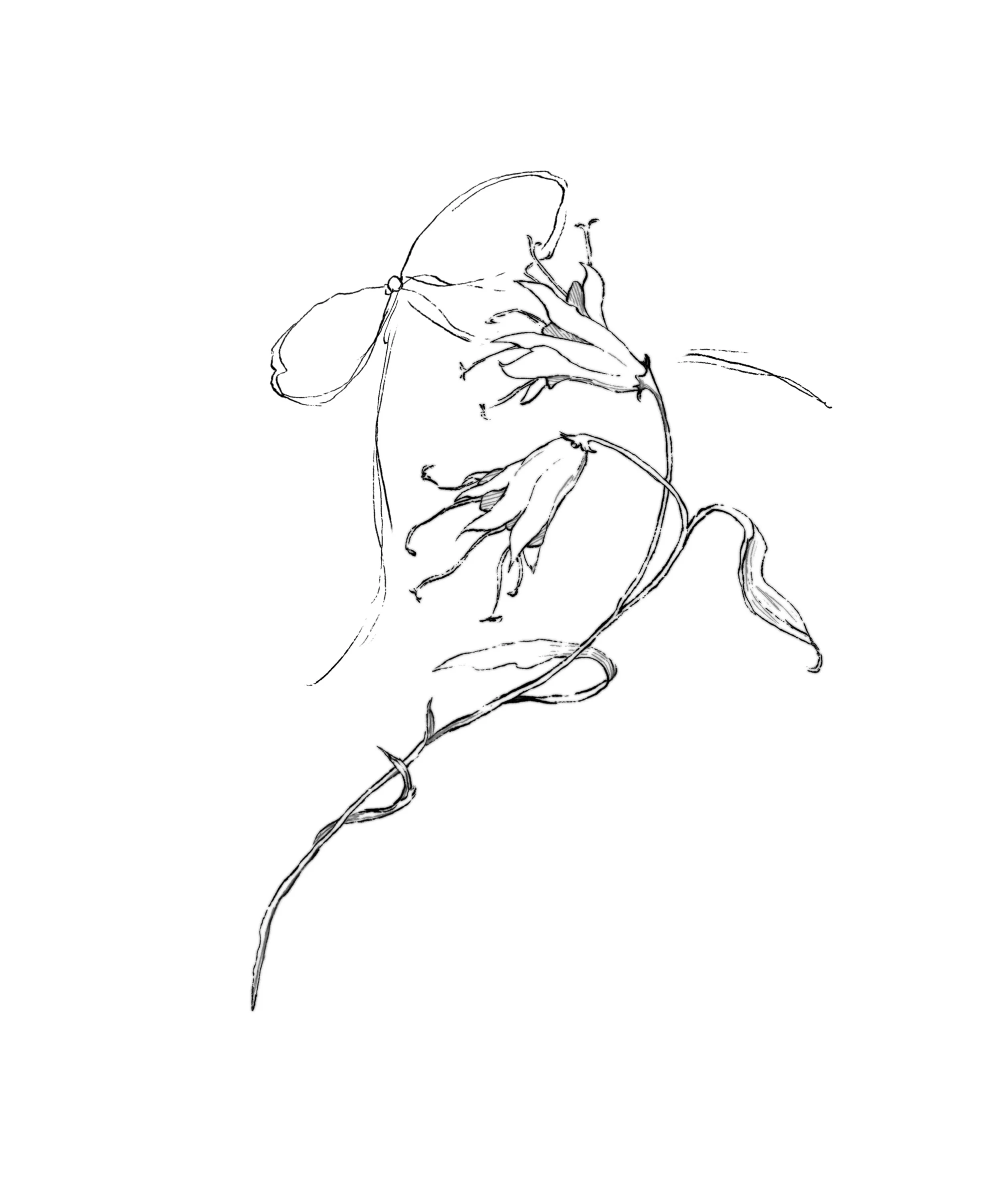 04B