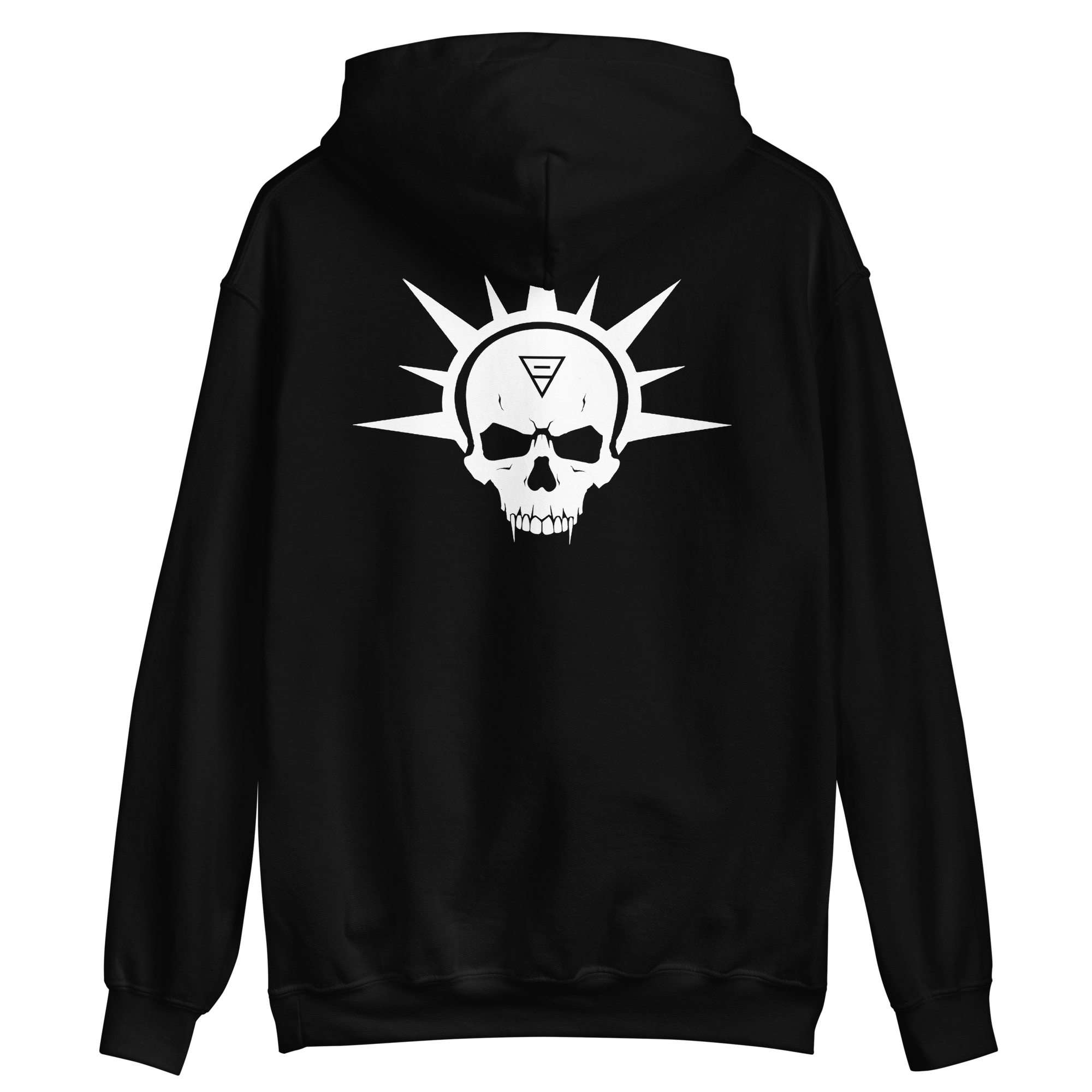 unisex-heavy-blend-hoodie-black-back-67a10b7b8b648.png