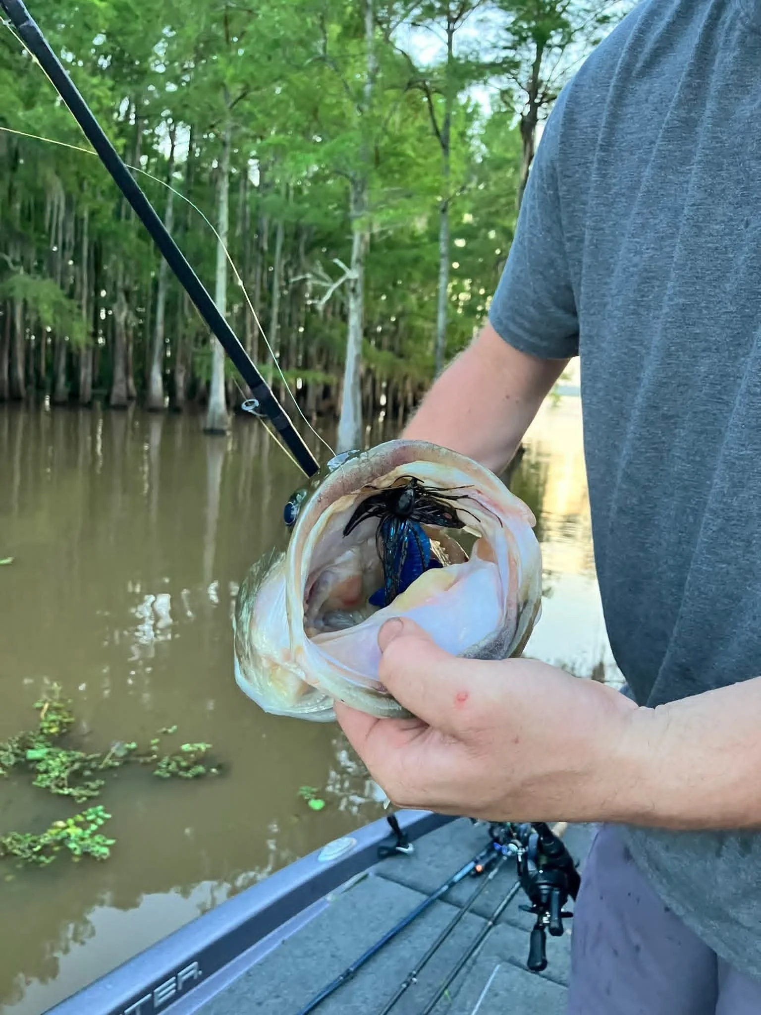 Largemouth Bass Caught on Fish Hook Bait Company Original Heavy Cover Jig