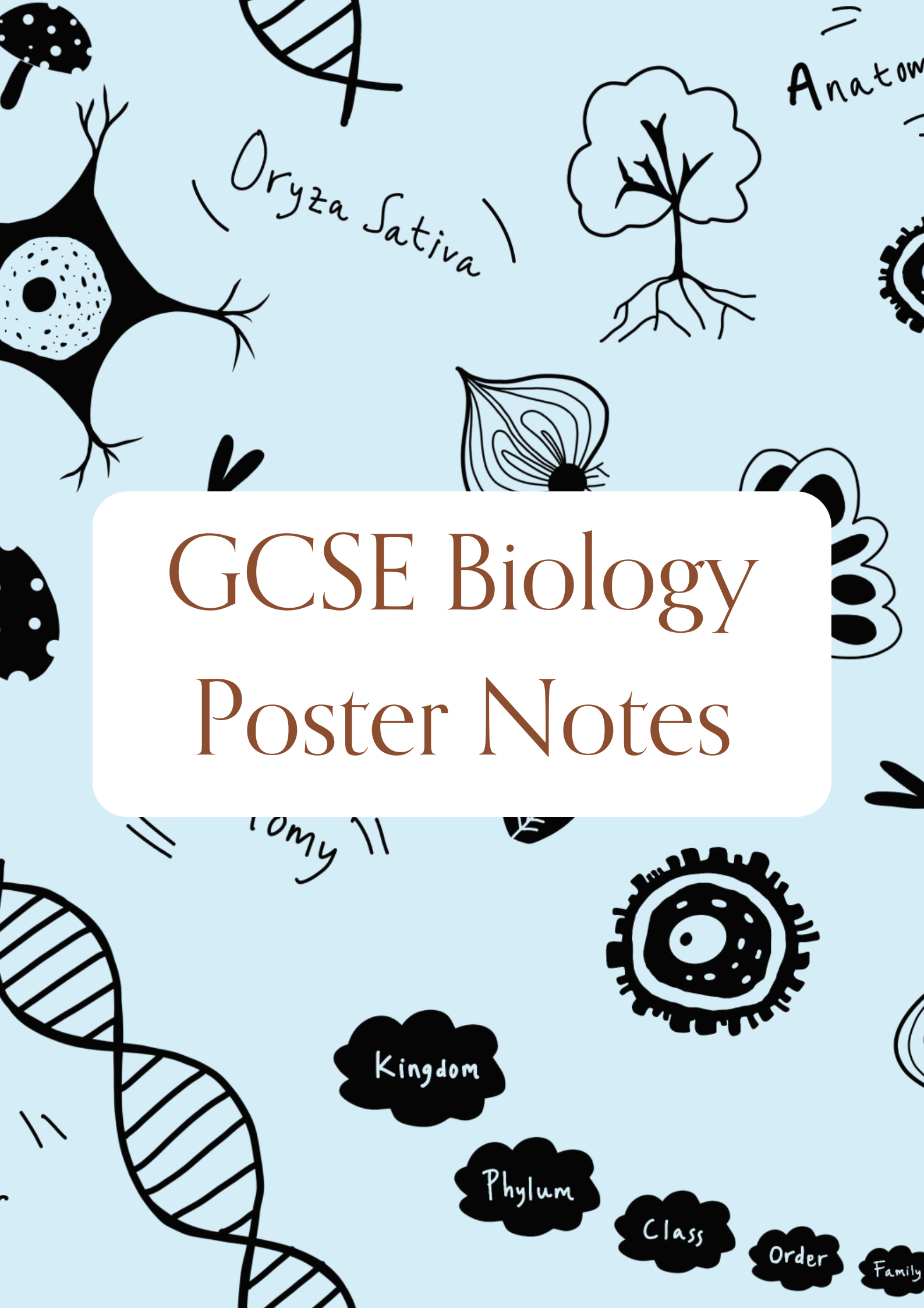 PosterNotesBio.png