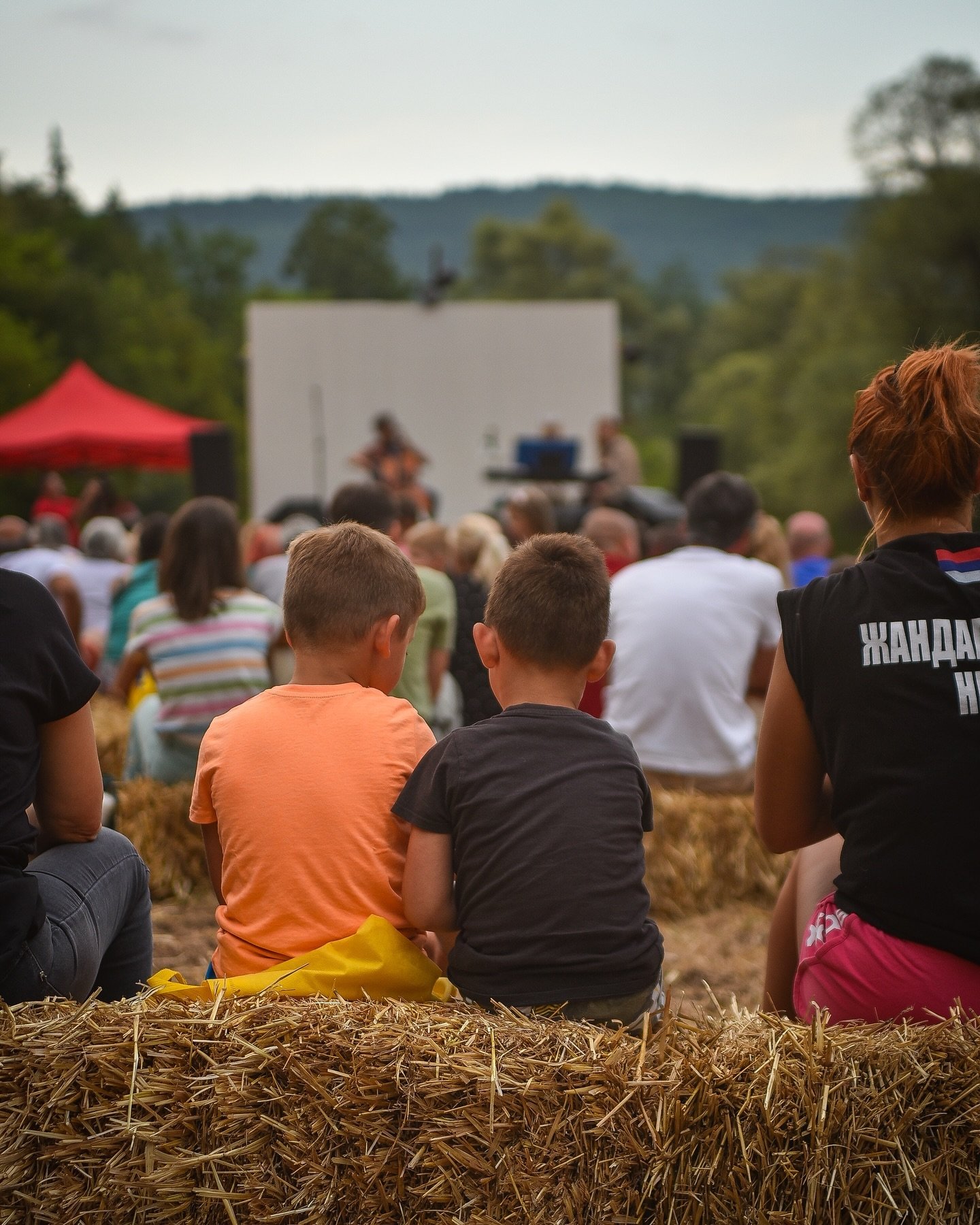 Kada sam kod fotografija iz sela, ne mogu da ne spomenem prvi @artfestivaljerma, organizovan od strane mladih, potpuno samostalno, početkom avgusta ove godine.

Možda bi to bio &bdquo;samo jo&scaron; jedan u nizu&ldquo; festivala, ali ukoliko dodamo 