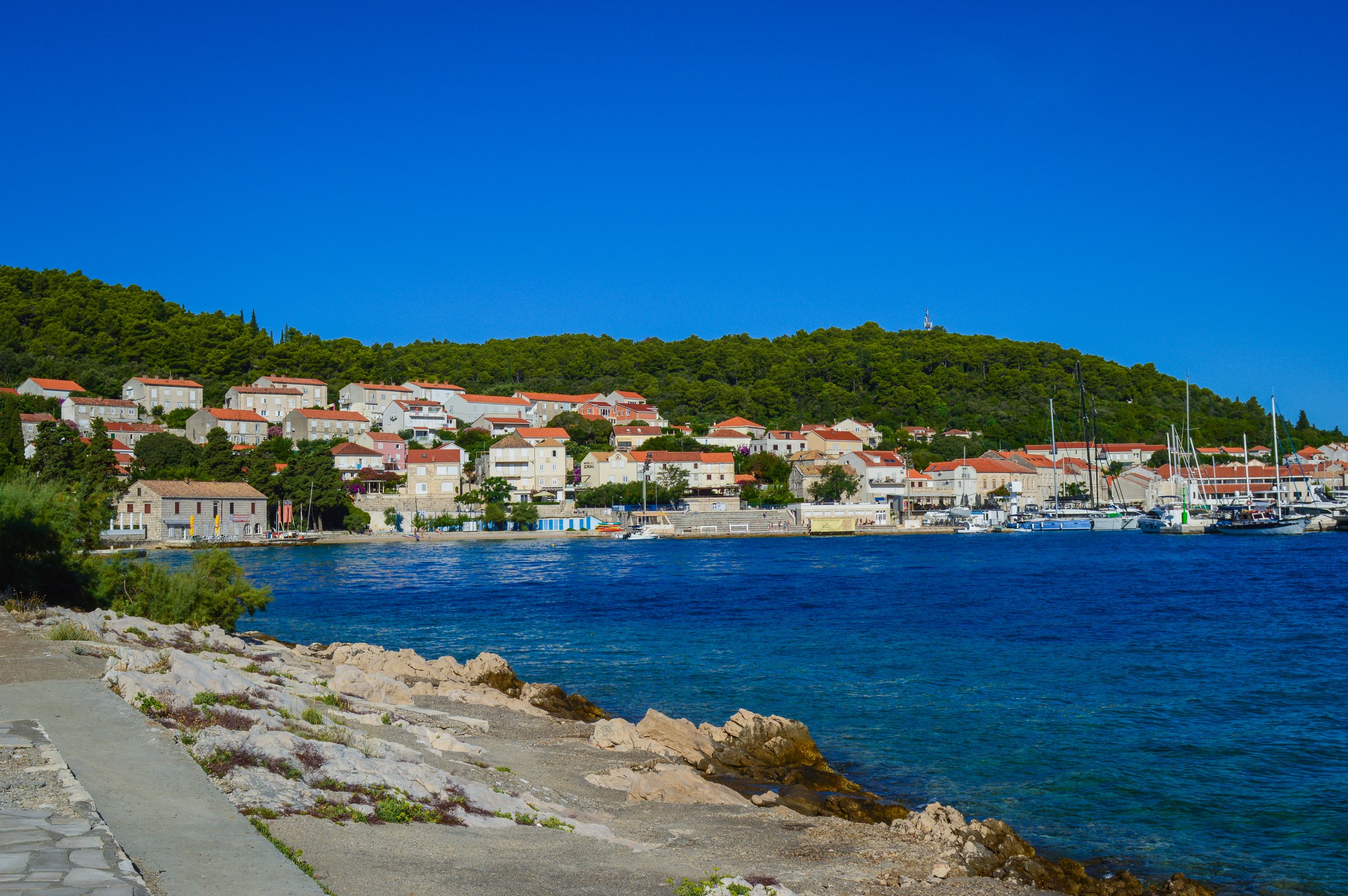 DSC_0624.jpg