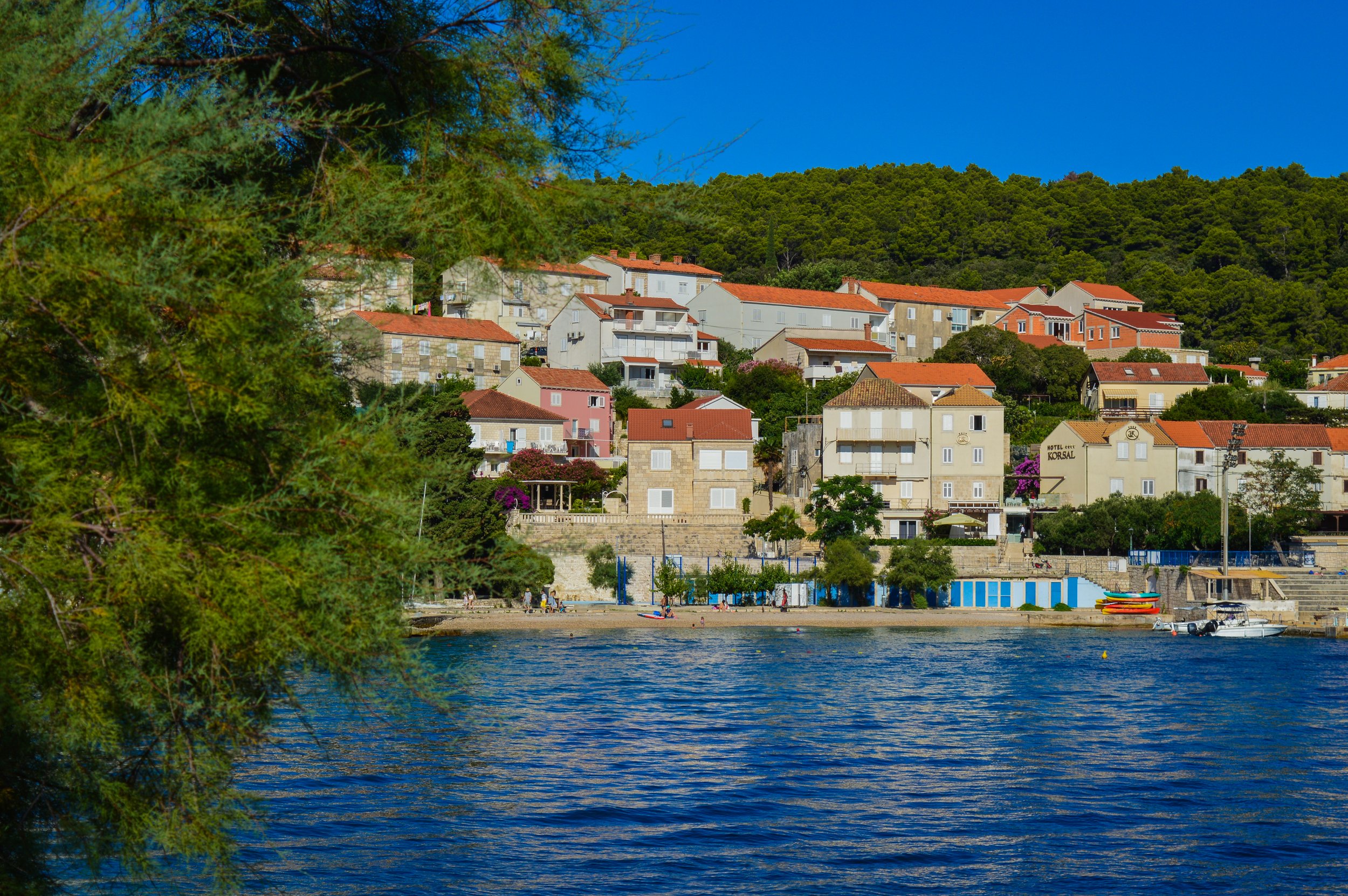 DSC_0619.jpg