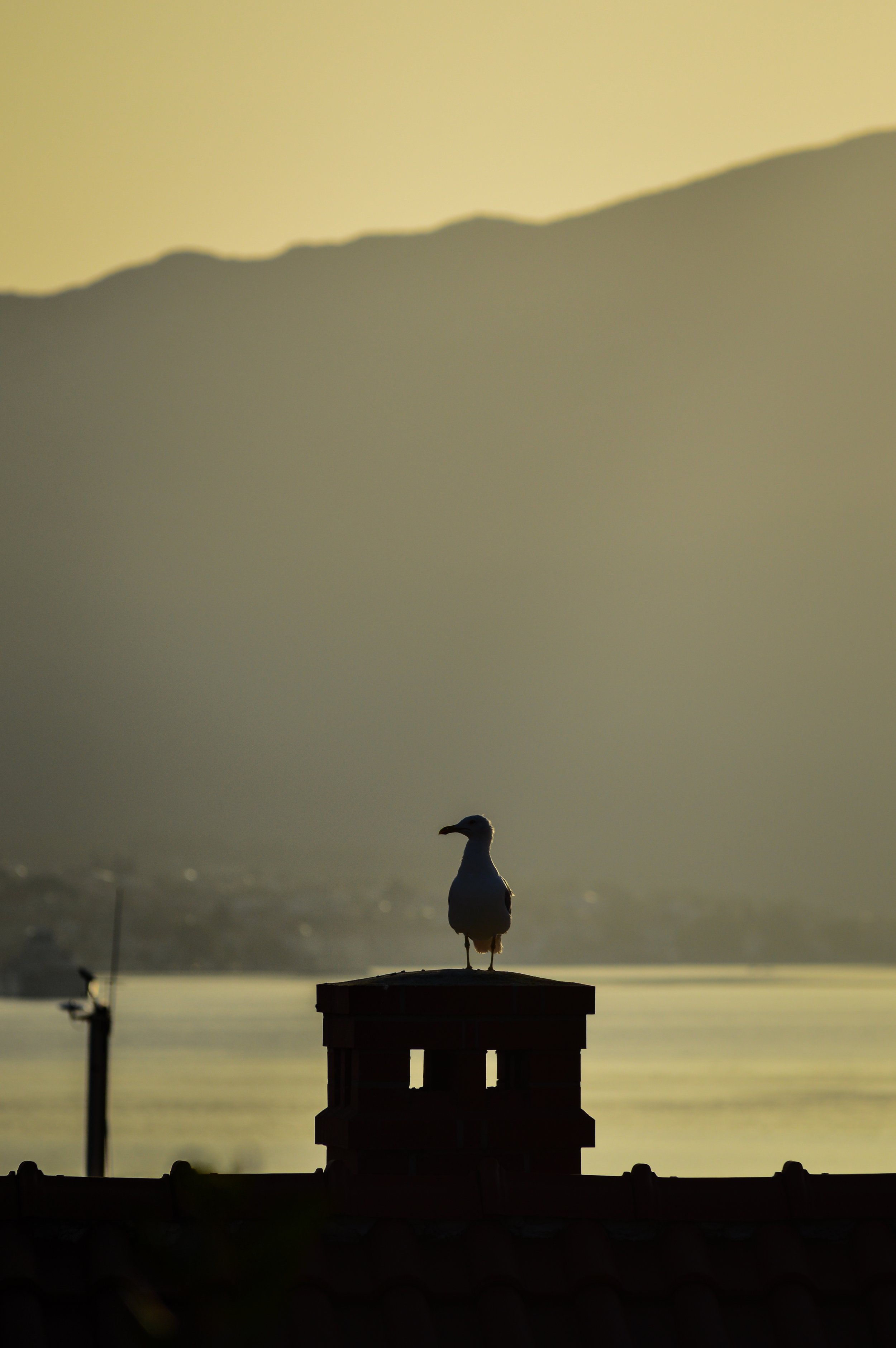 DSC_0490.jpg