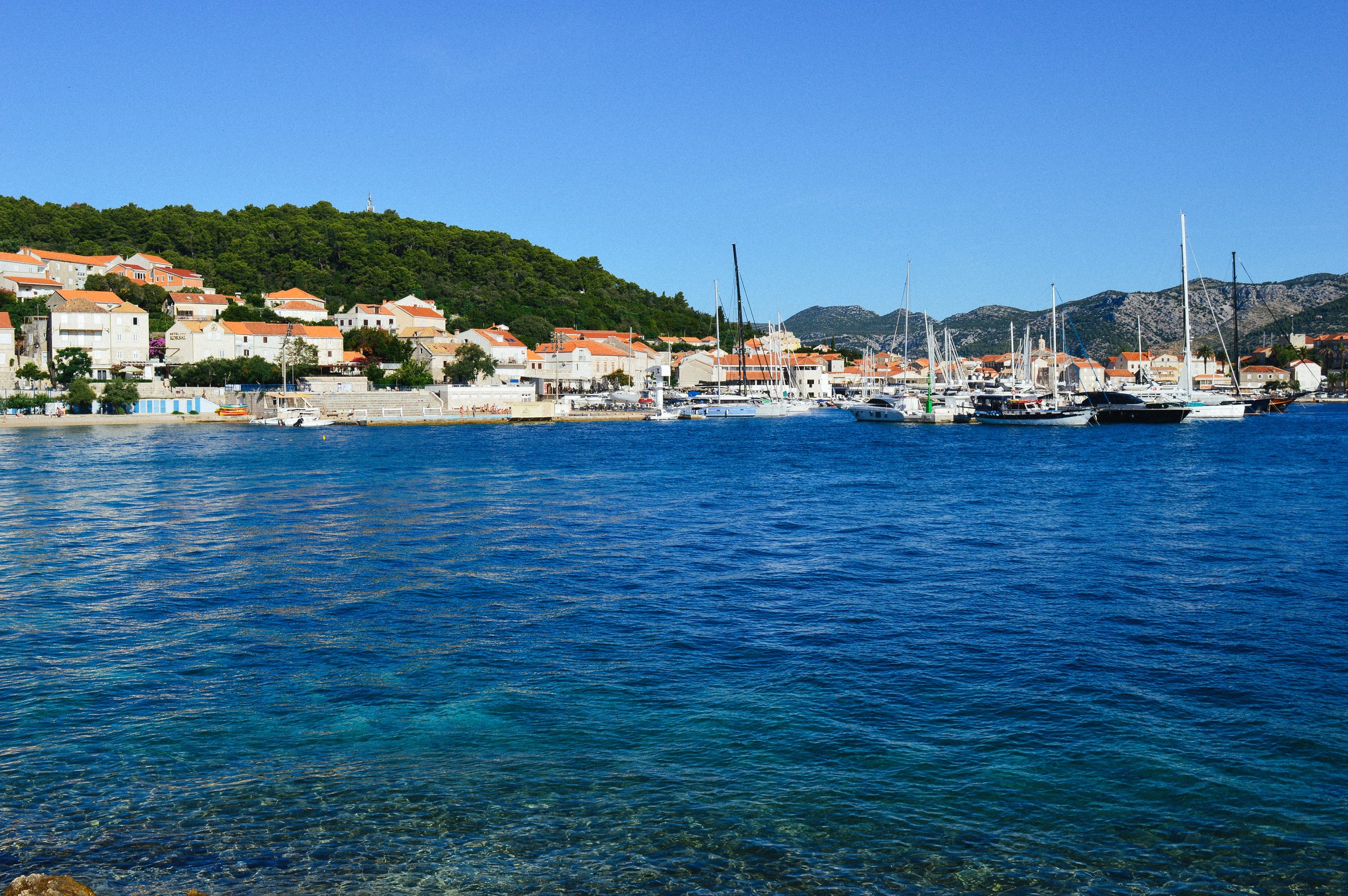 DSC_0608-2.jpg
