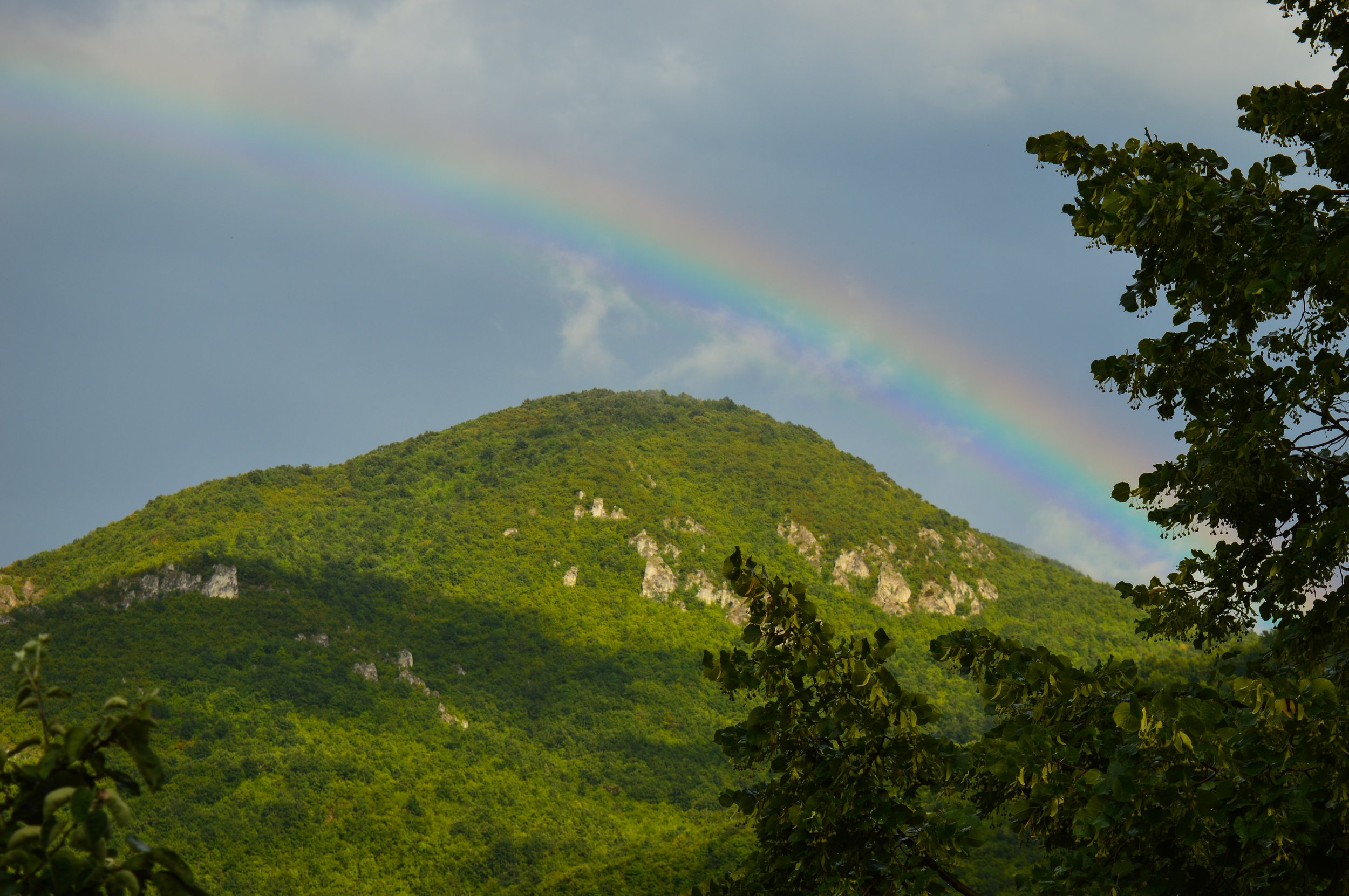 DSC_0007.jpg