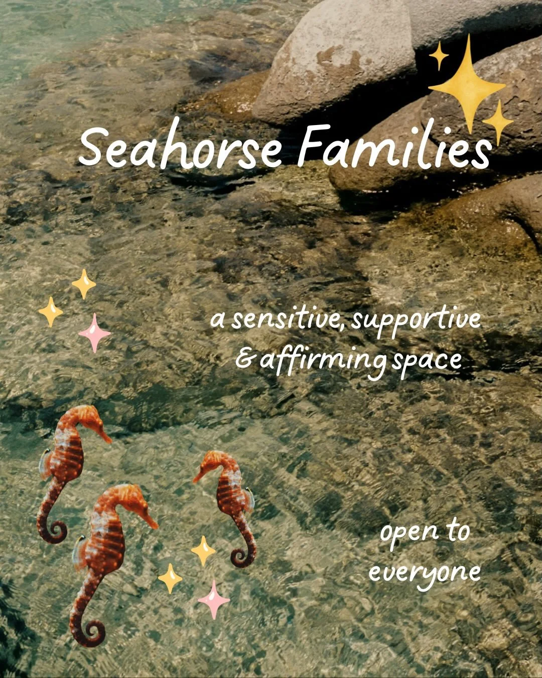 Seahorse families is my little corner of cuteness within the fertility acupuncture world, along with being deeply attentive, sensitive and inclusive. 

After working with hundreds of folks in creating and nurturing their families over the past 10+ ye