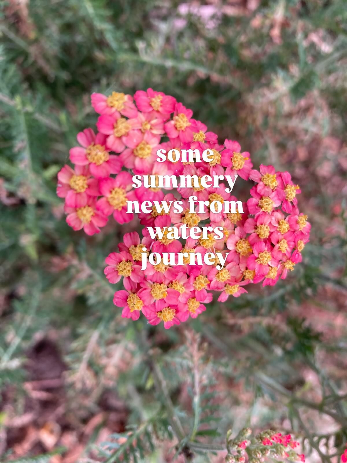 hello folks, 

I wanted to give a little heads up (esp to all the people that have been in touch recently about wanting to start treatments and working together), London Fields and Brighton are currently at capacity now until July 👀 when some more s