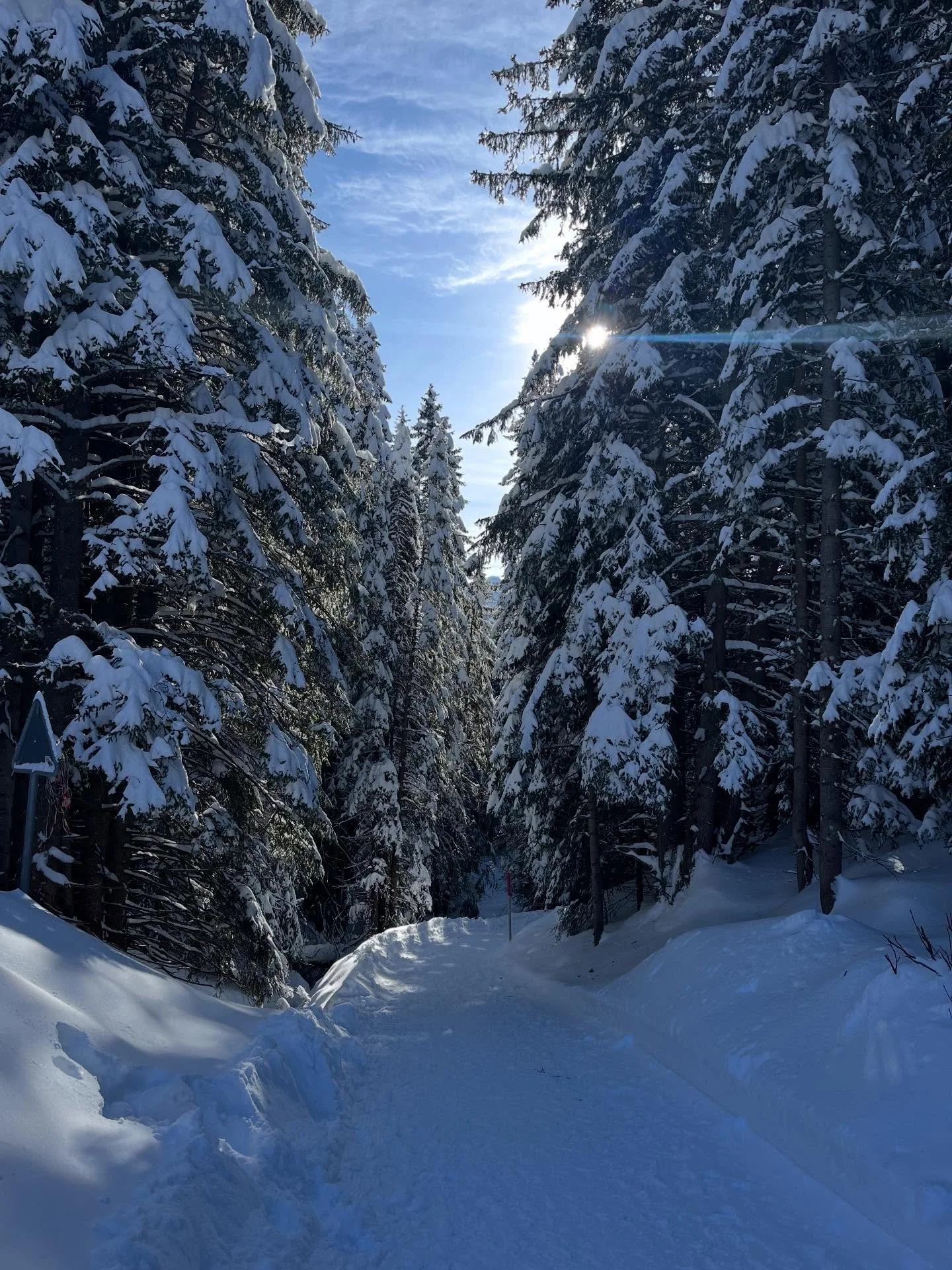 Arosa 🏔️❄️

Die Berge.
Die klare Luft.
Die Ruhe.

Dieser Ort erdet.
Er erinnert uns, langsamer zu werden und wieder zu sp&uuml;ren.

Aus genau diesem Gef&uuml;hl heraus wurde der Sonnentempel erschaffen 🌞
als Raum der Ruhe, der R&uuml;ckverbindung 