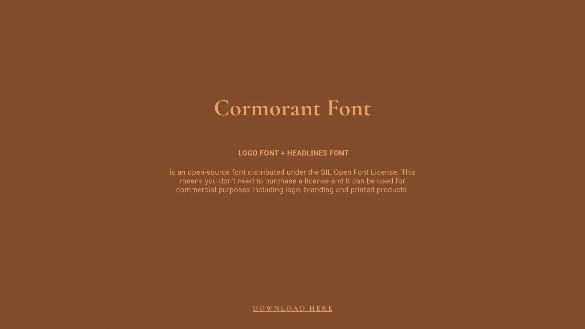 Brand Book-04.jpg