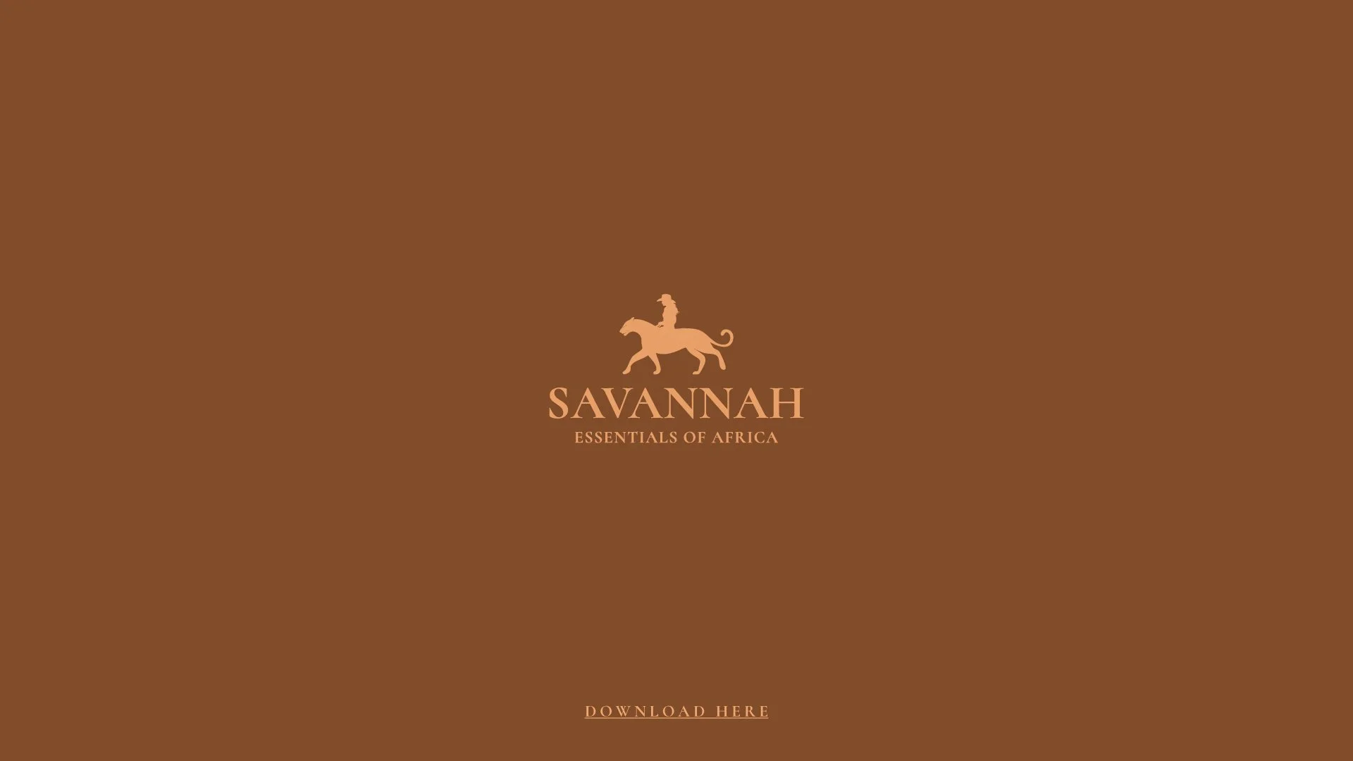 Brand Book-01.jpg