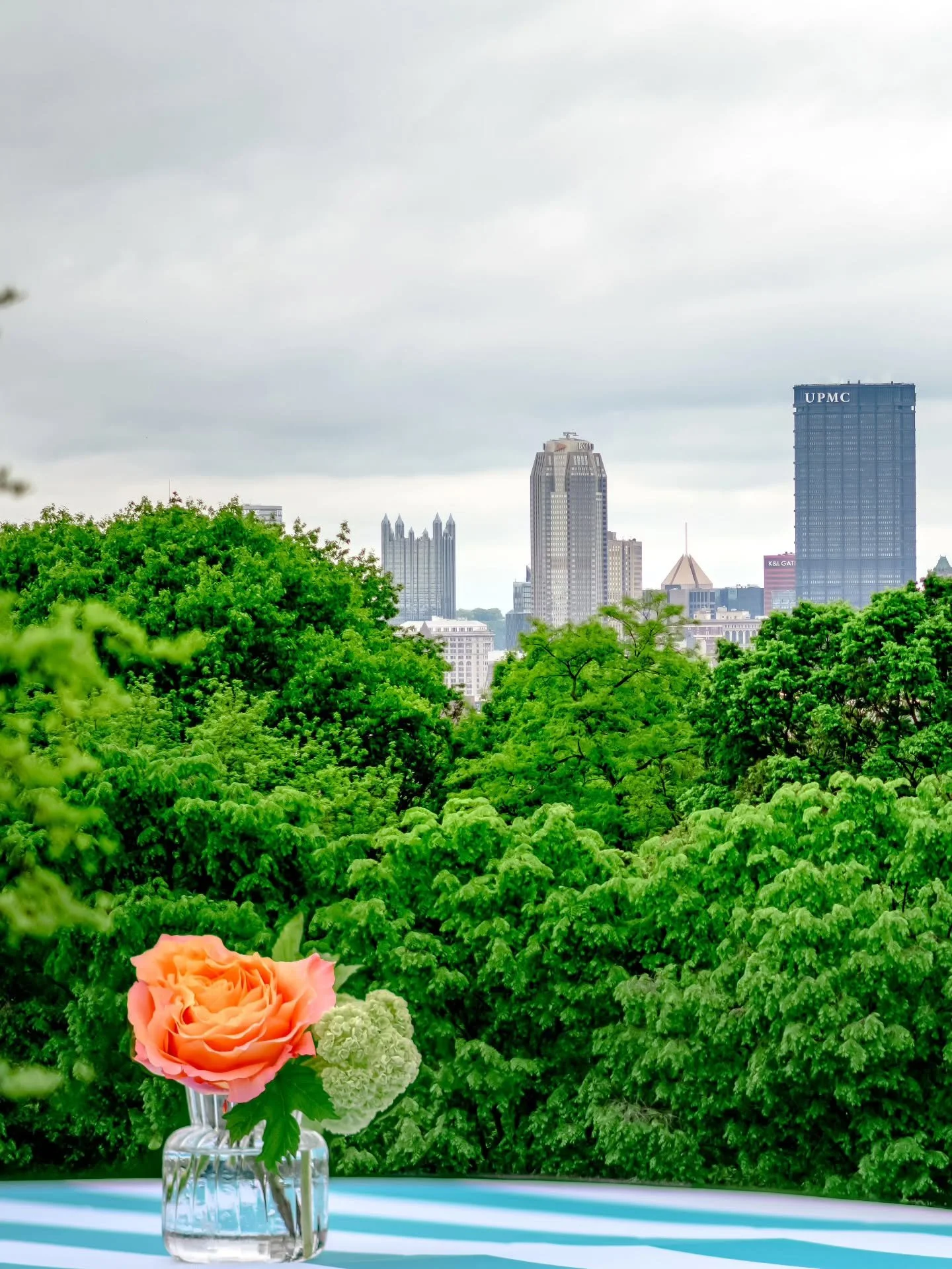 Fundraising but fashion forward 💙 Pittsburgh, you clean up nice. 

Purpose looks better with a skyline backdrop.