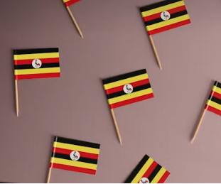Ugandan Rwenzori
