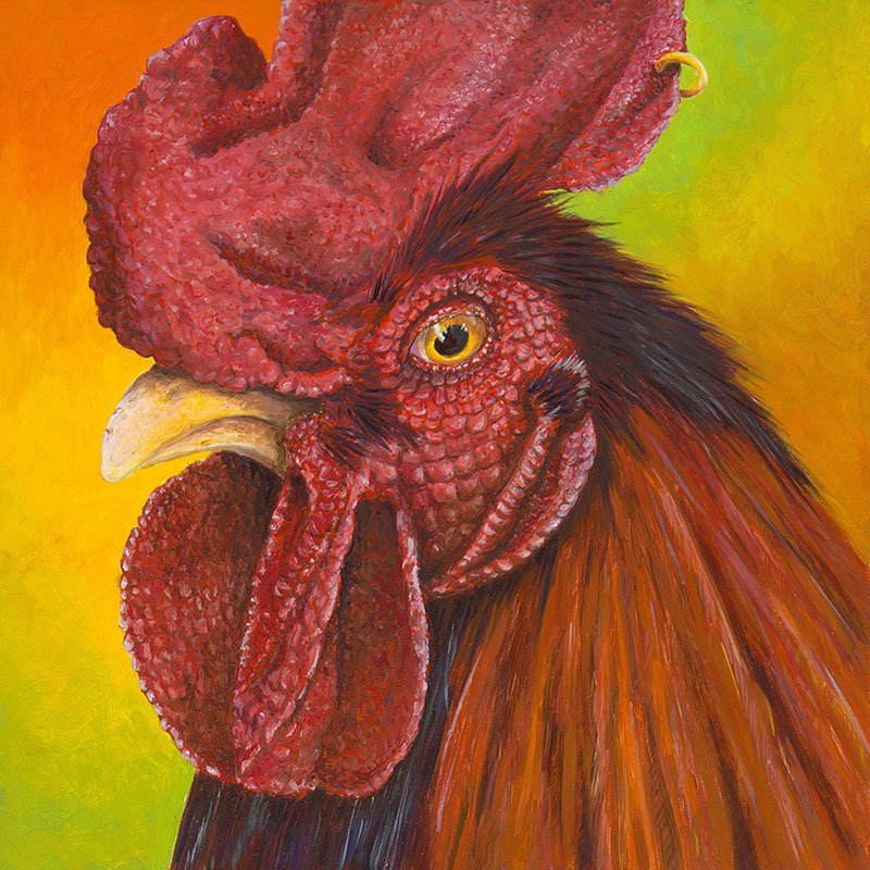cock Ring II