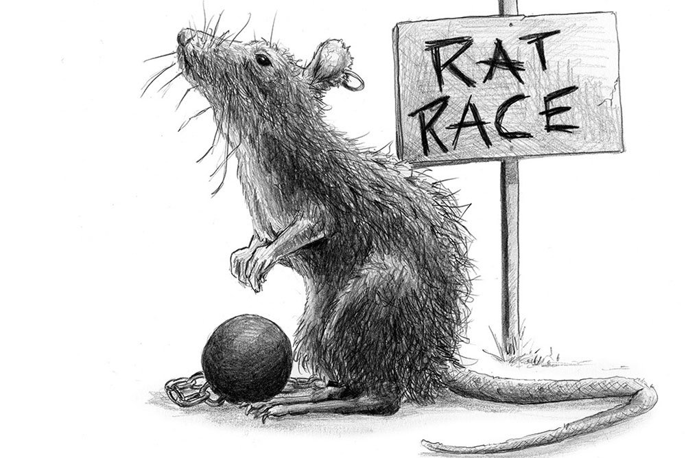 The Rat Race