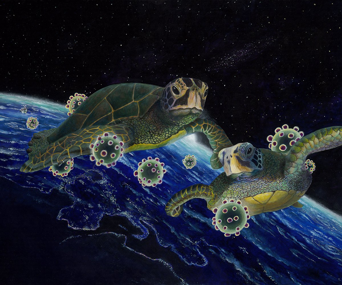 Covid Turtles in Space