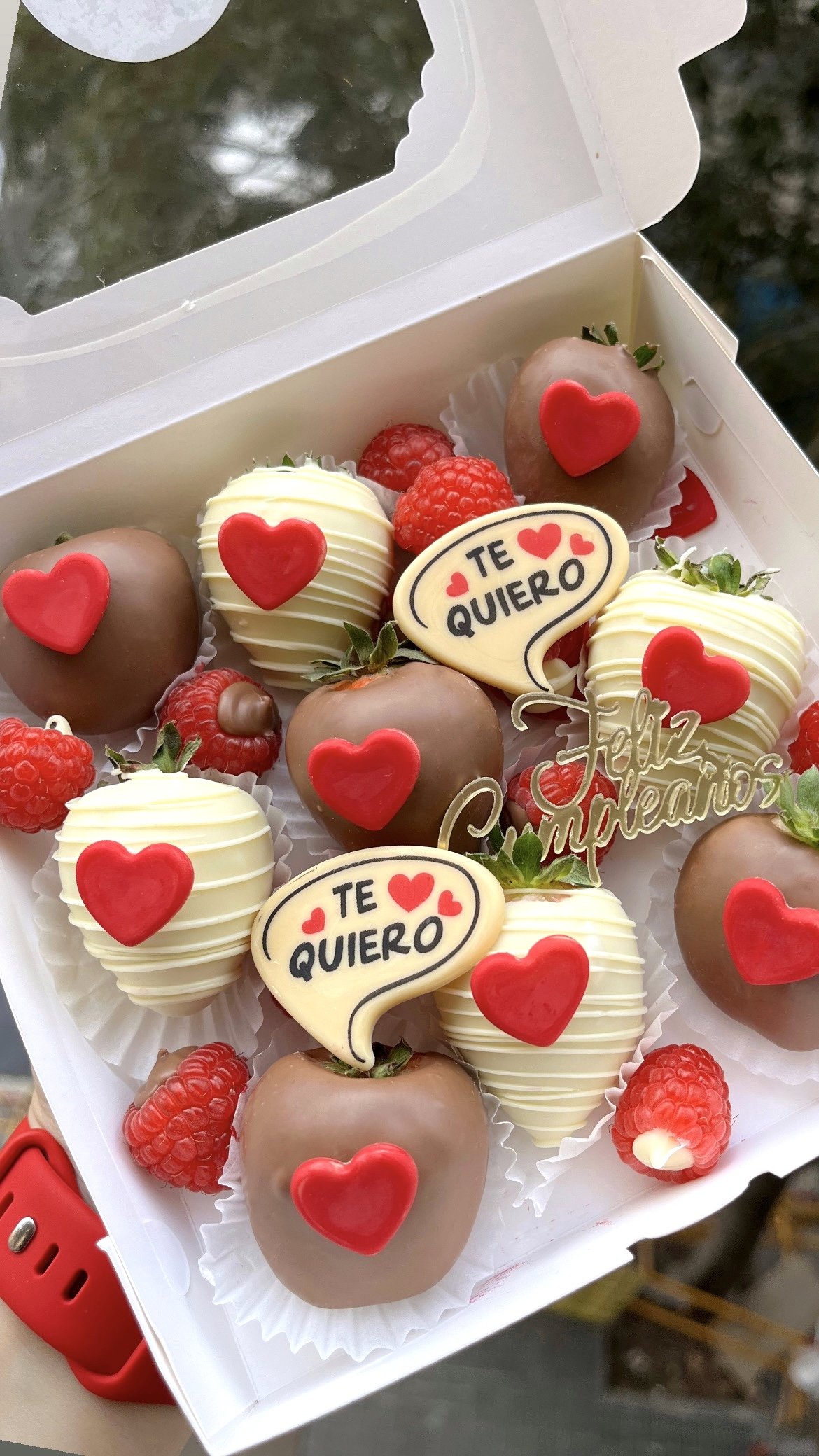 Valentine's Day I Love You San Valentin Te Quiero Chocolate Covered Strawberries Gift Regalo