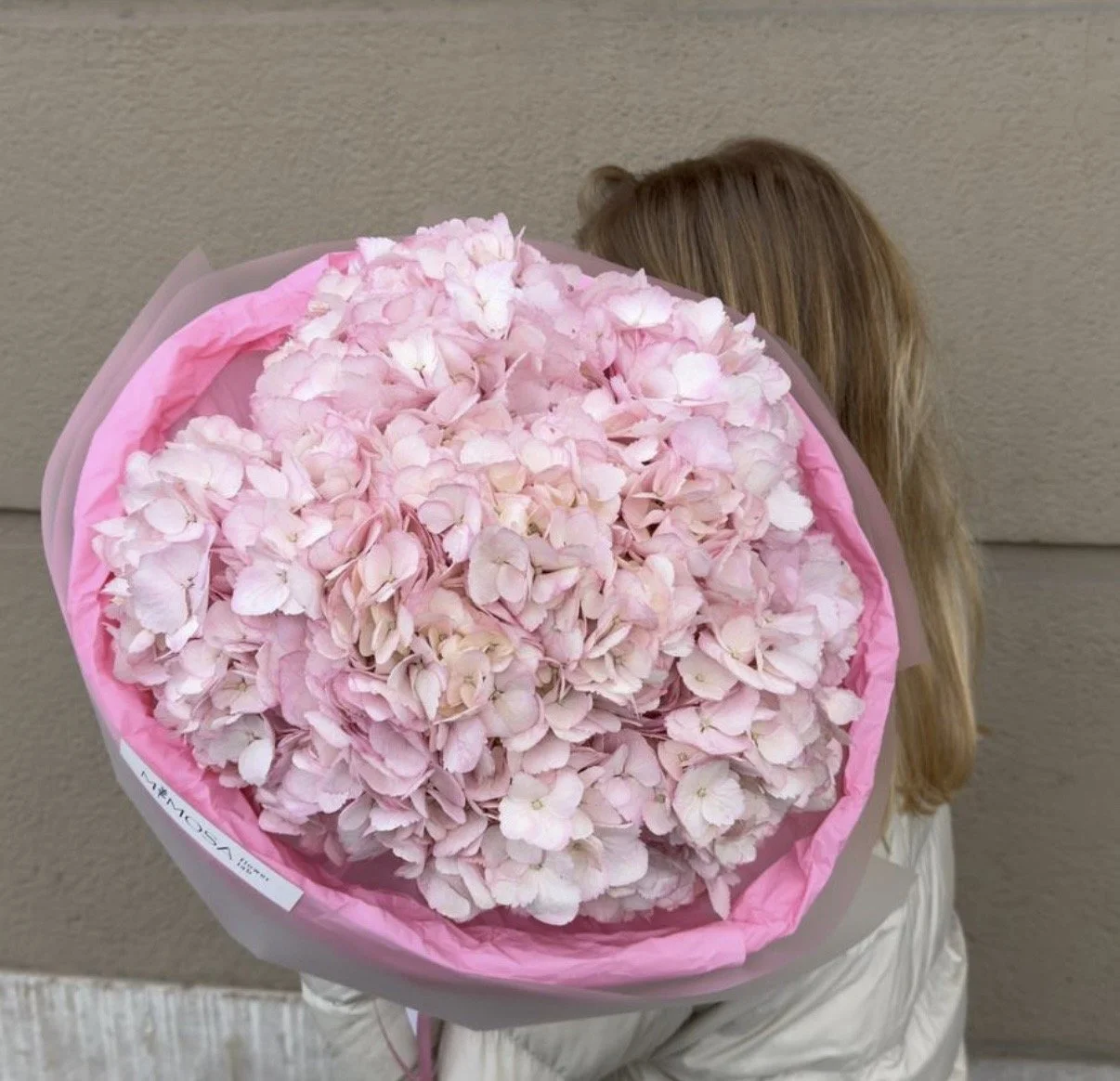 Pink Hydrangea Dream