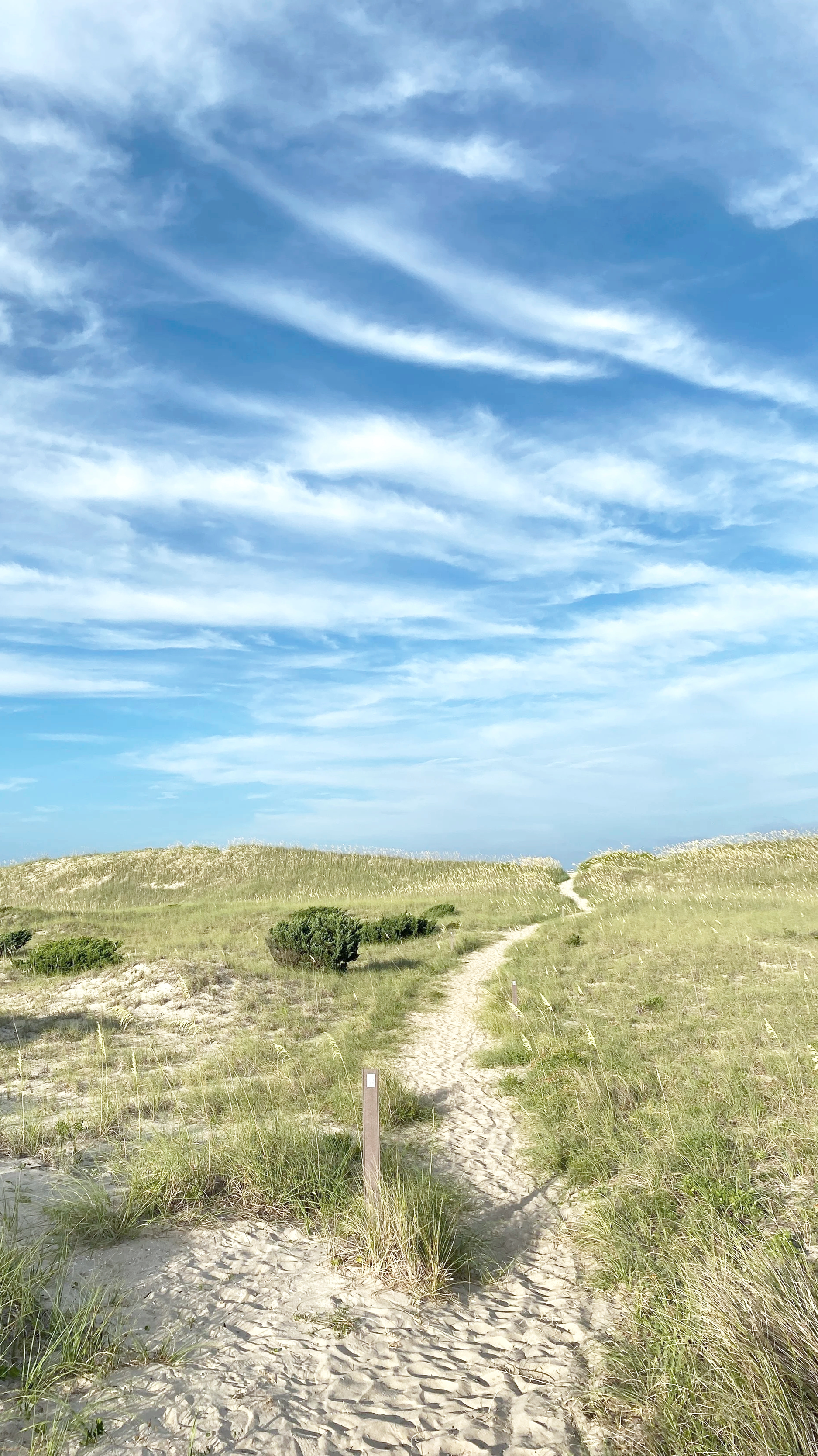 A sandy path winding through grassy dunes under a partially cloudy blue sky.
