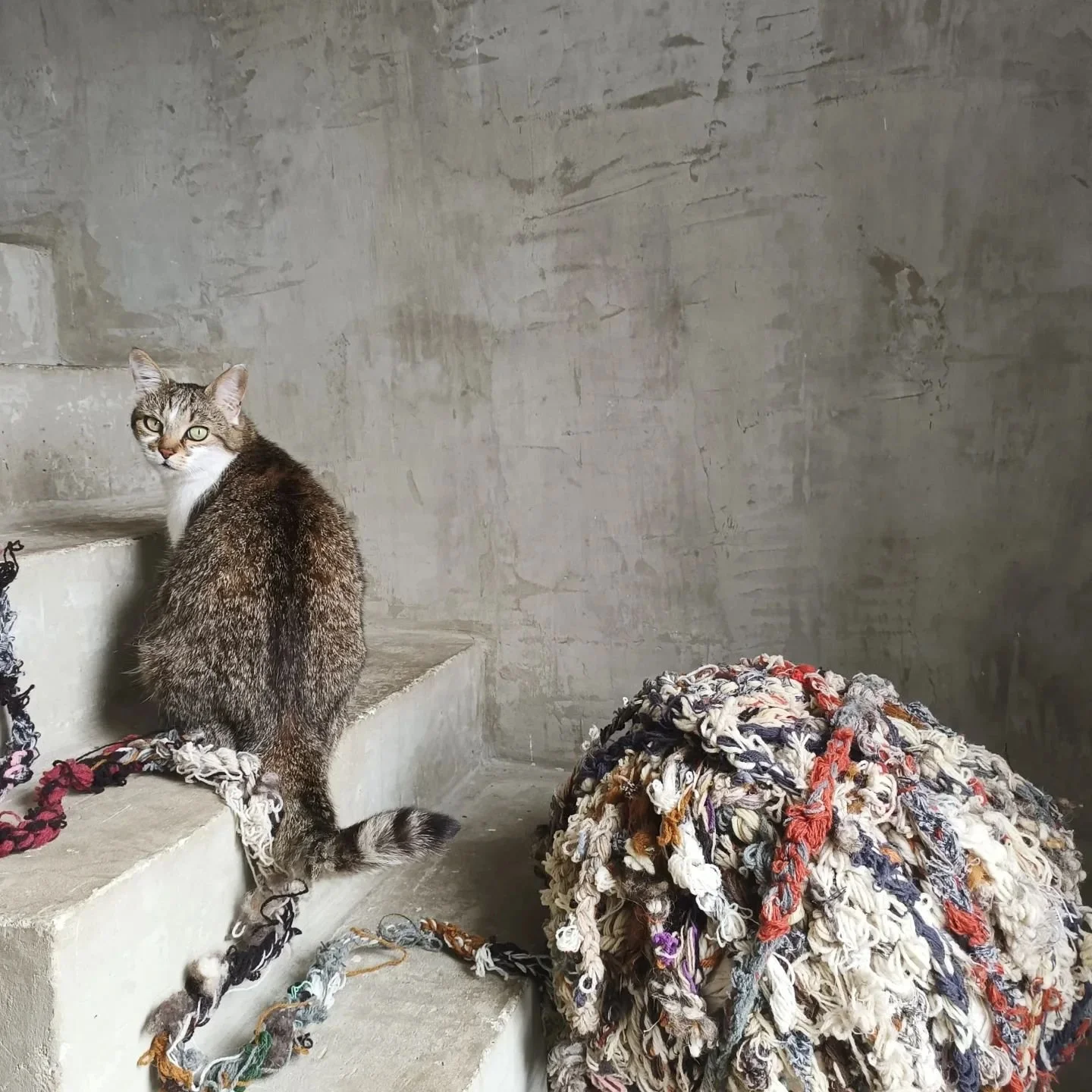 Jouer avec la laine, tourner autour, avoir l'esprit d'escalier&hellip; entretenir une m&ucirc;re r&eacute;flexion&hellip; 
nous avons le plaisir de vous retrouver au showroom Oh my laine! 
Avec @lainamac_filierelaine

 @galeriejoseph 51 rue de Turenn