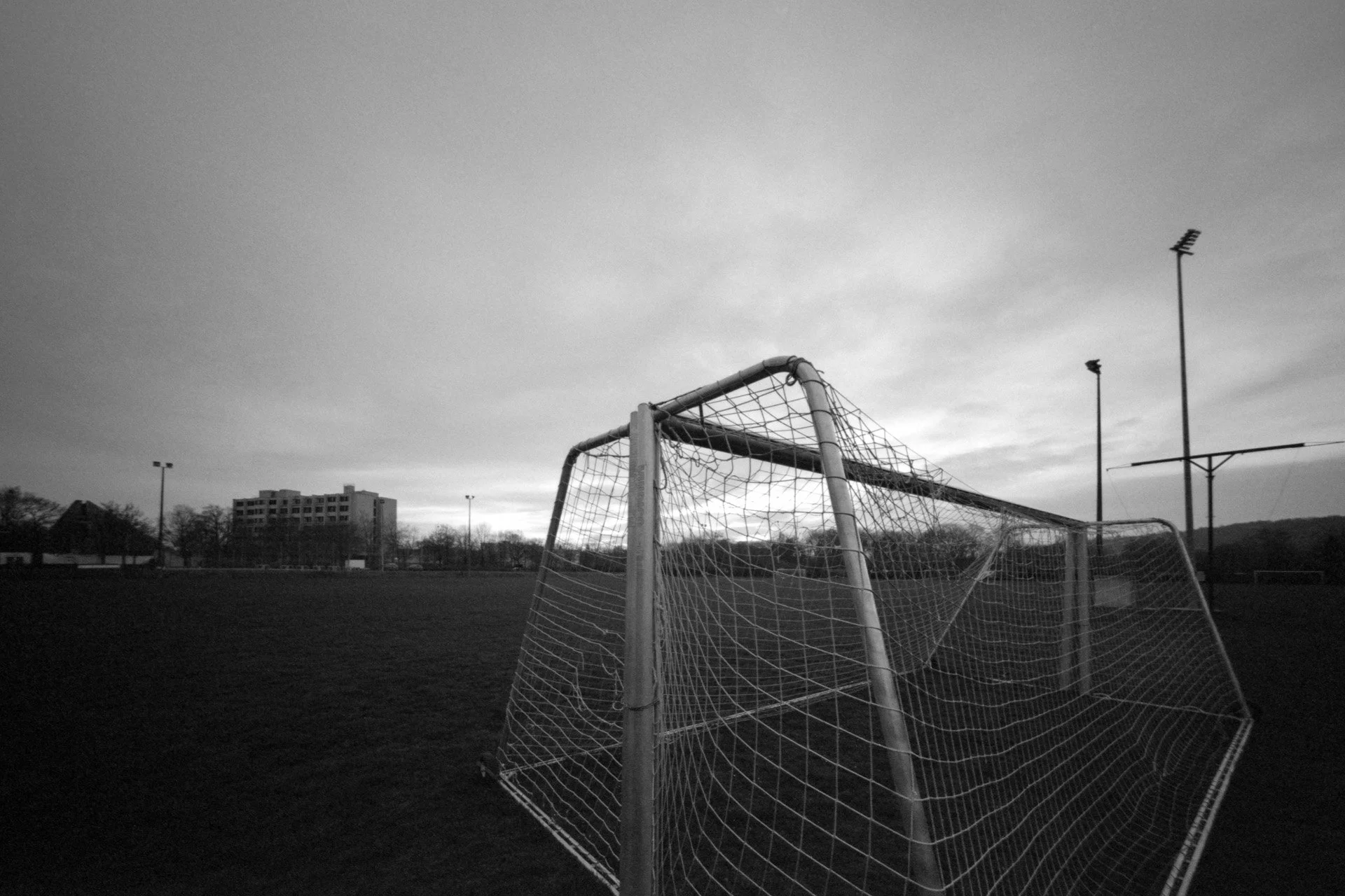 sportfield06.jpg