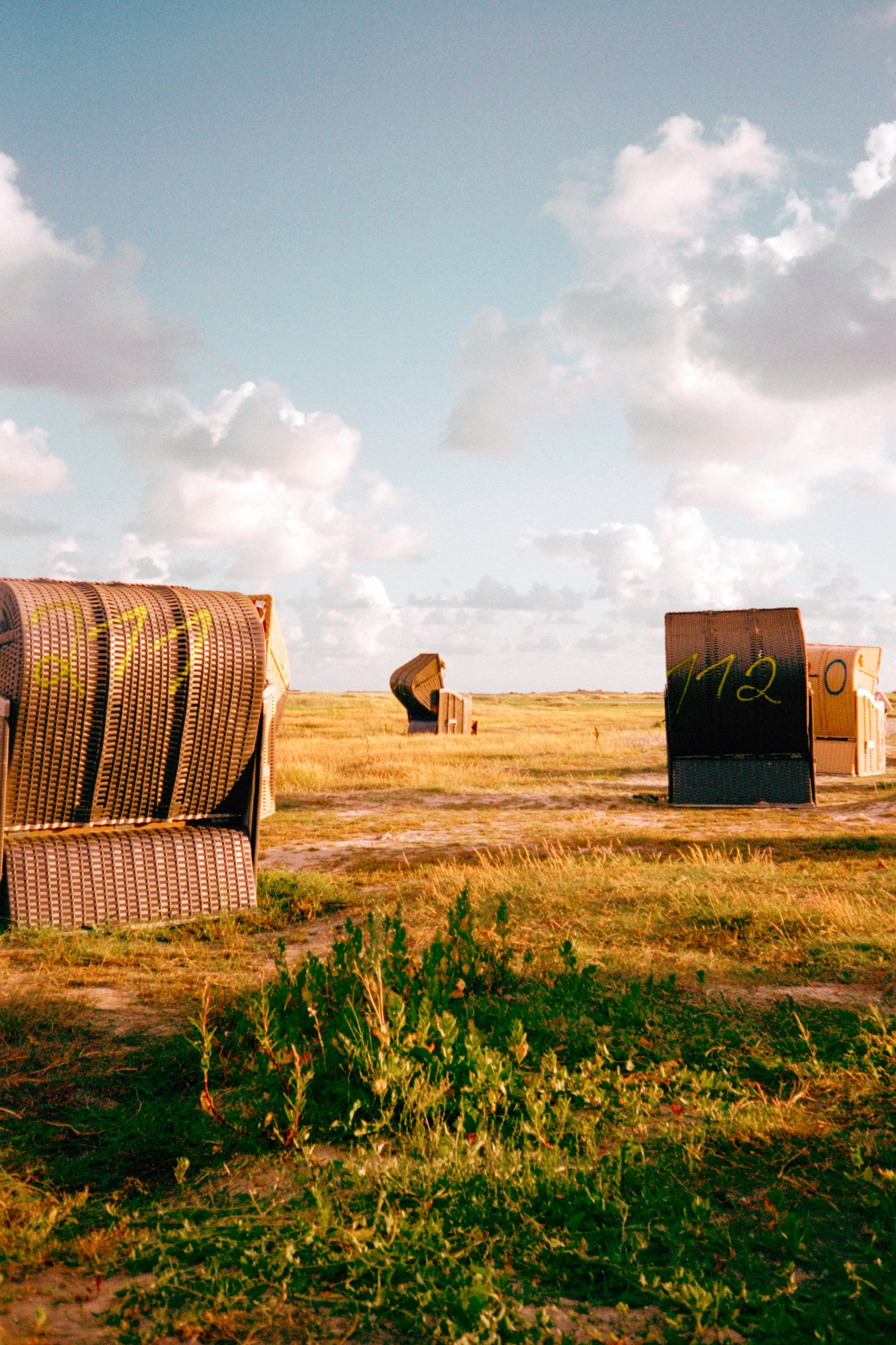 landscape10.jpg