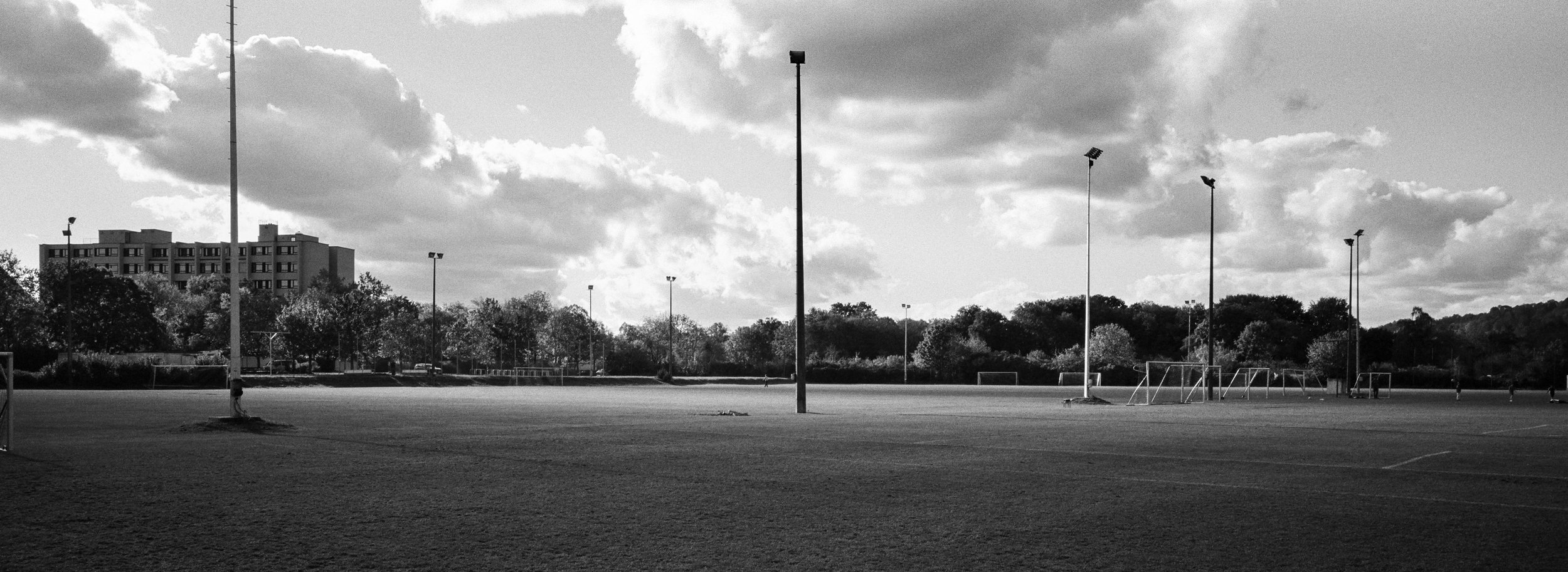 sportfield01.jpg