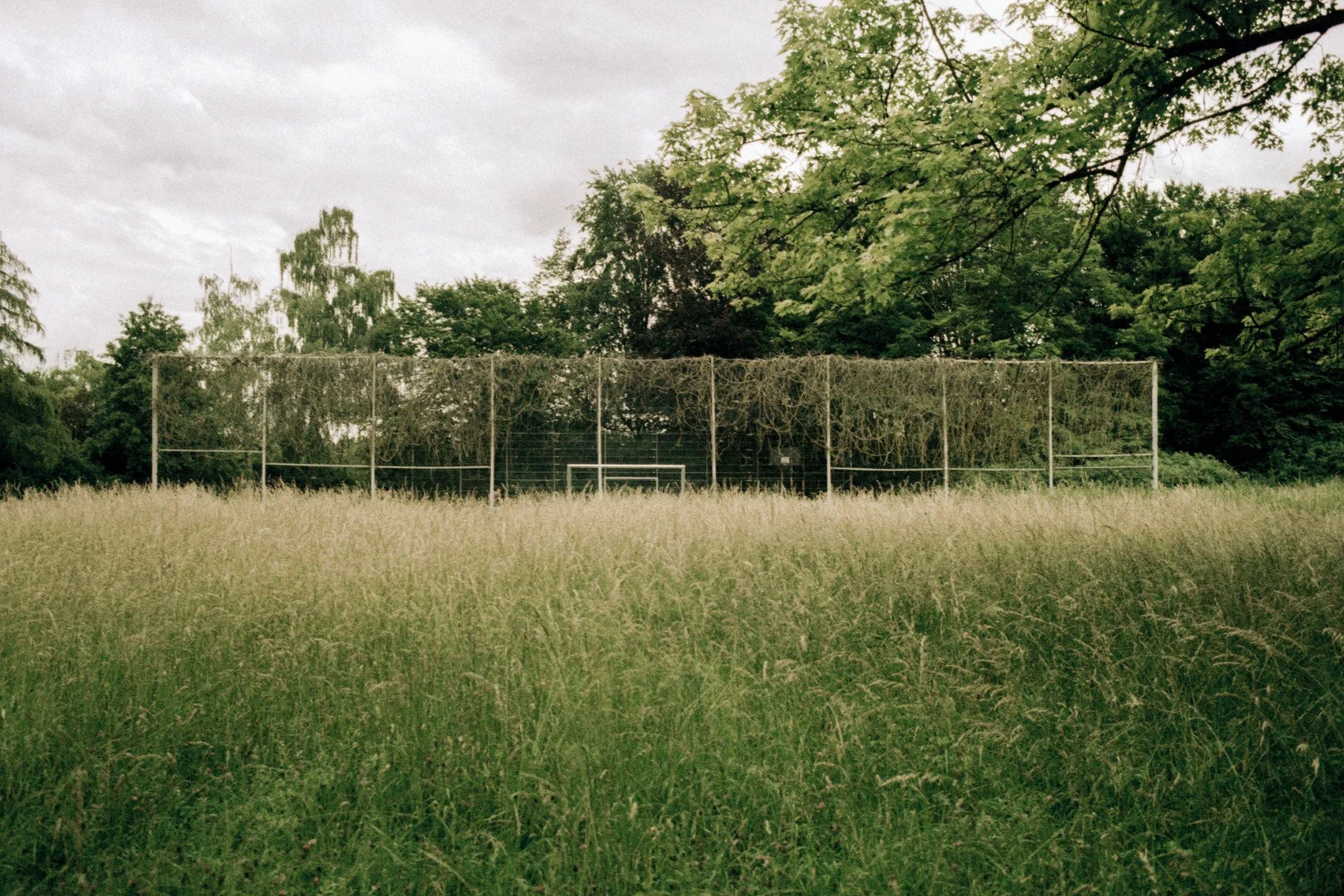 landscape02.jpg