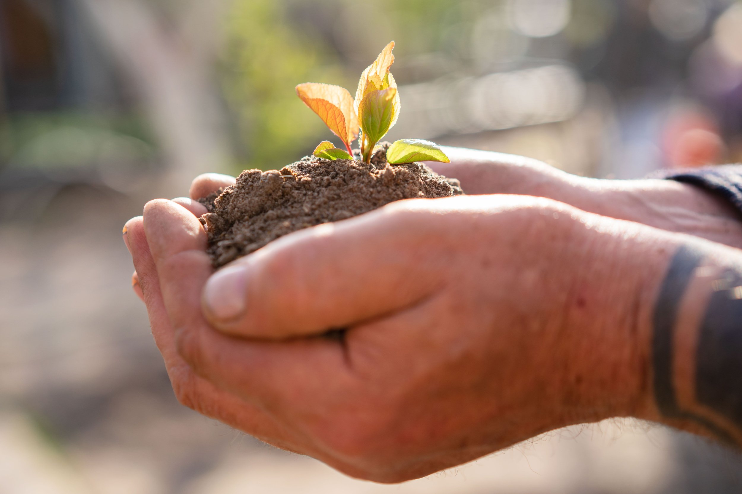 The False Economy of Godliness (Proverbs 14:4)