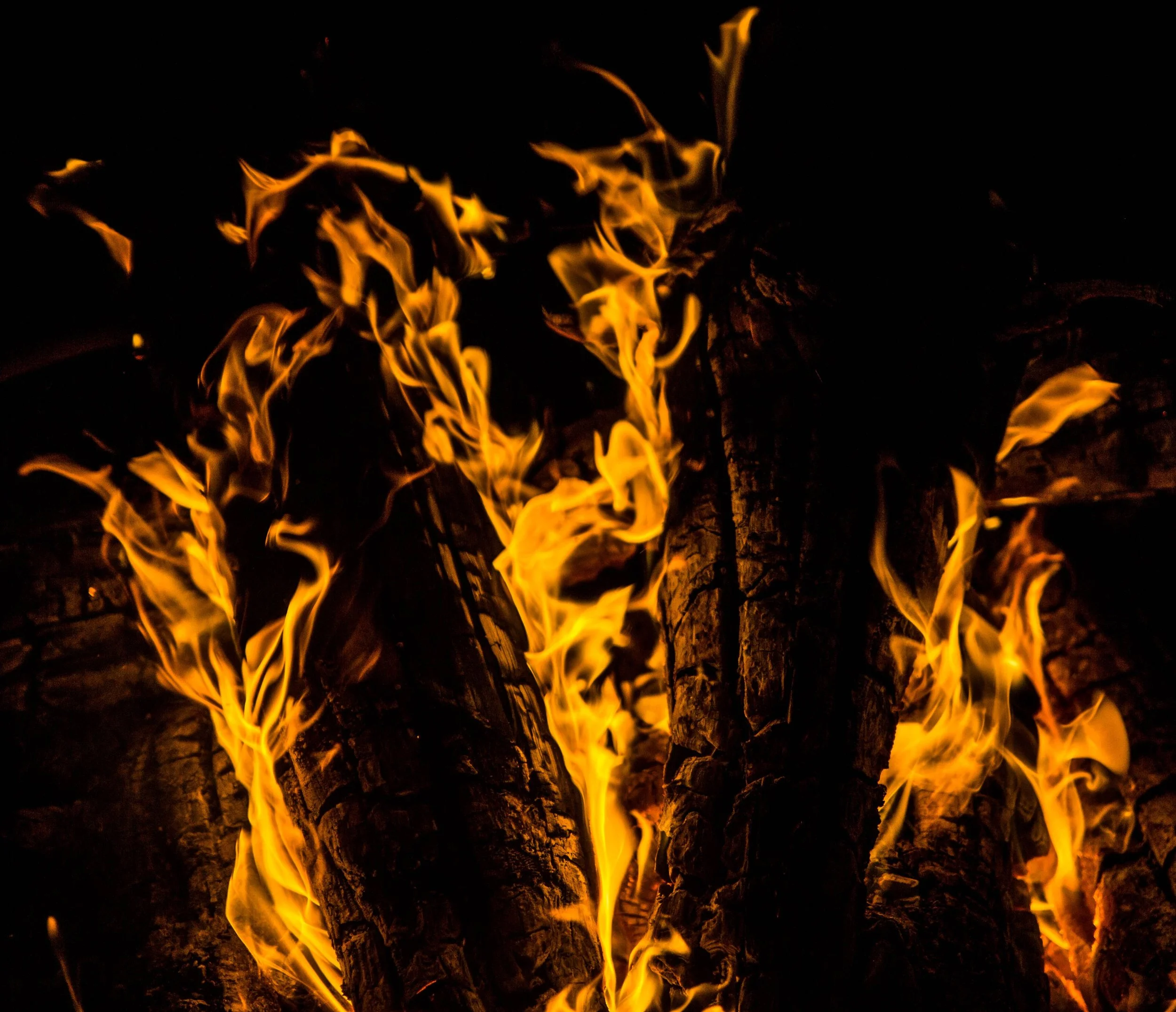 Gossip is the Fuel—Will You Let the Fire Burn? (Proverbs 26:20-22)