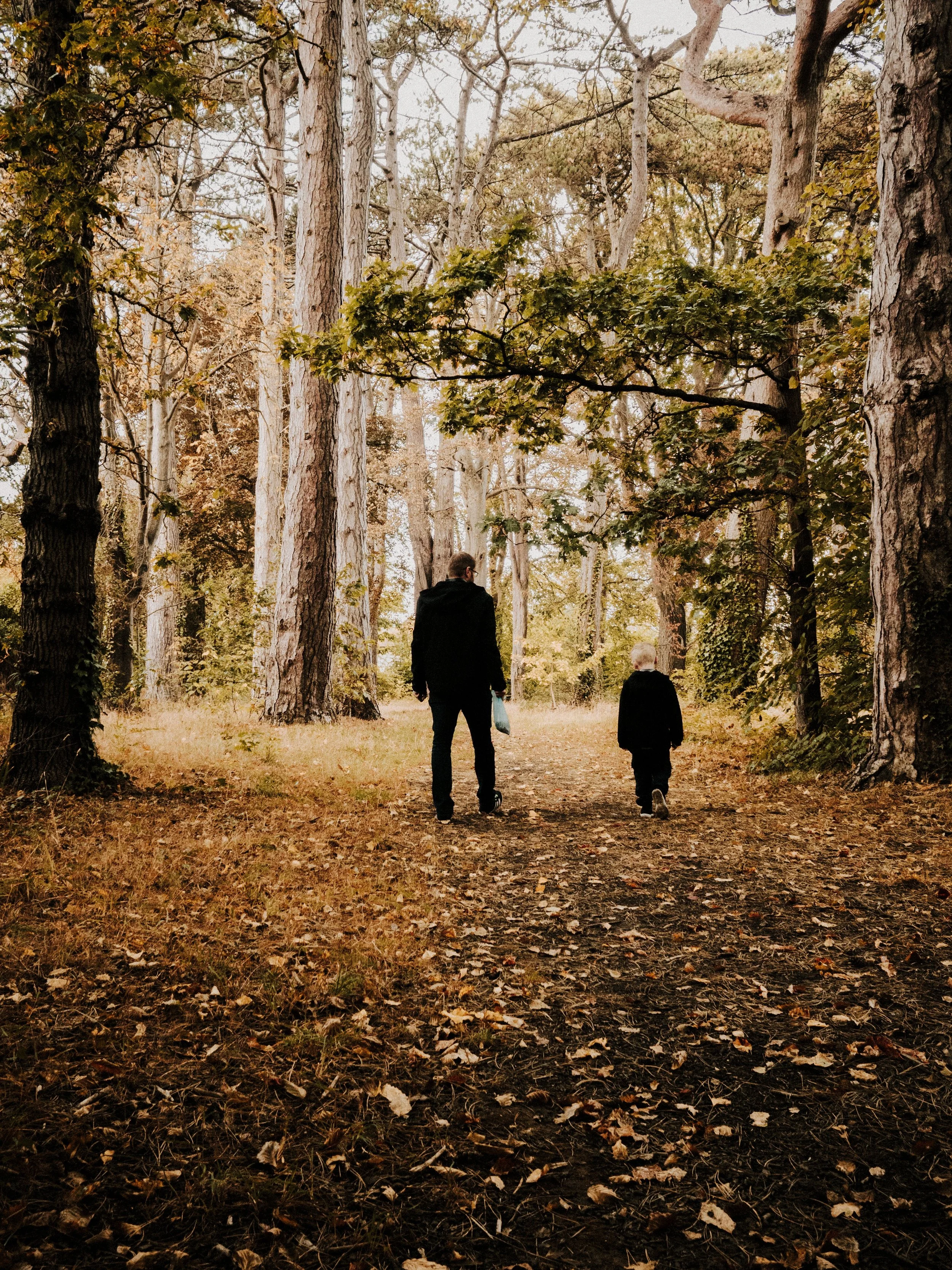 Rest, Delight, and the Father’s Discipline (Proverbs 29:17)