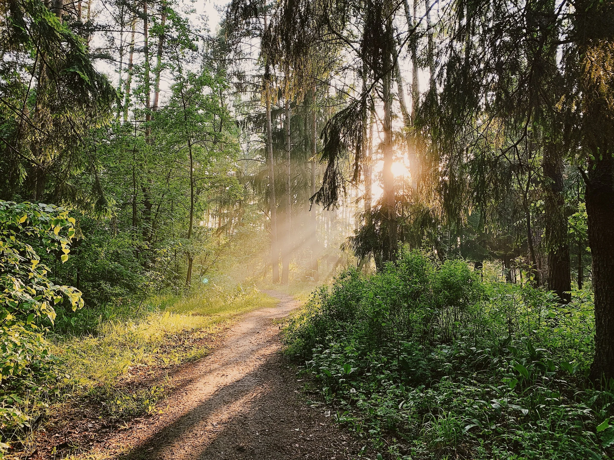 Is Following Jesus A Vain Pursuit? (Proverbs 22:4)