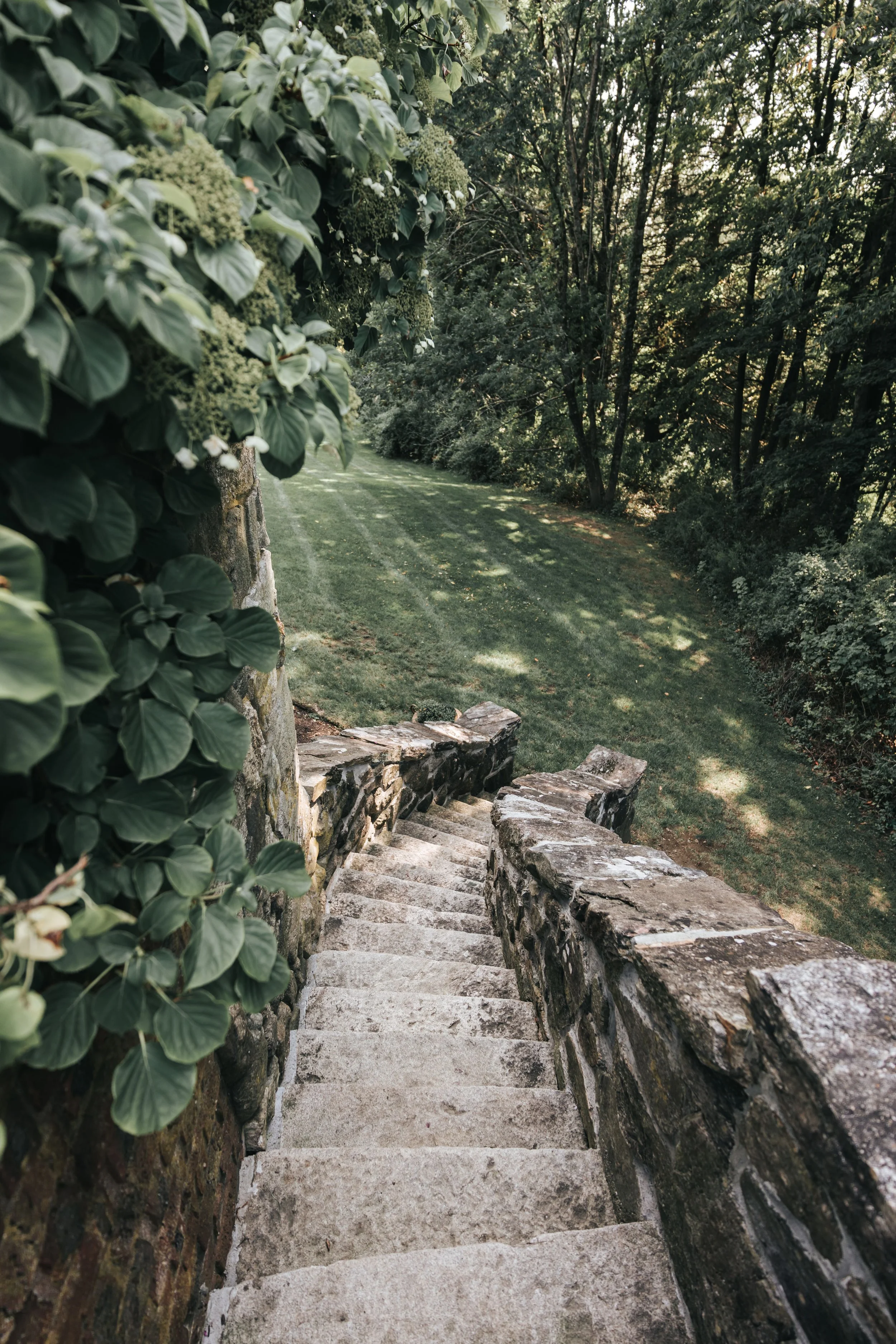 The Plans Are Yours—The Steps Are God’s (Proverbs 16:9)