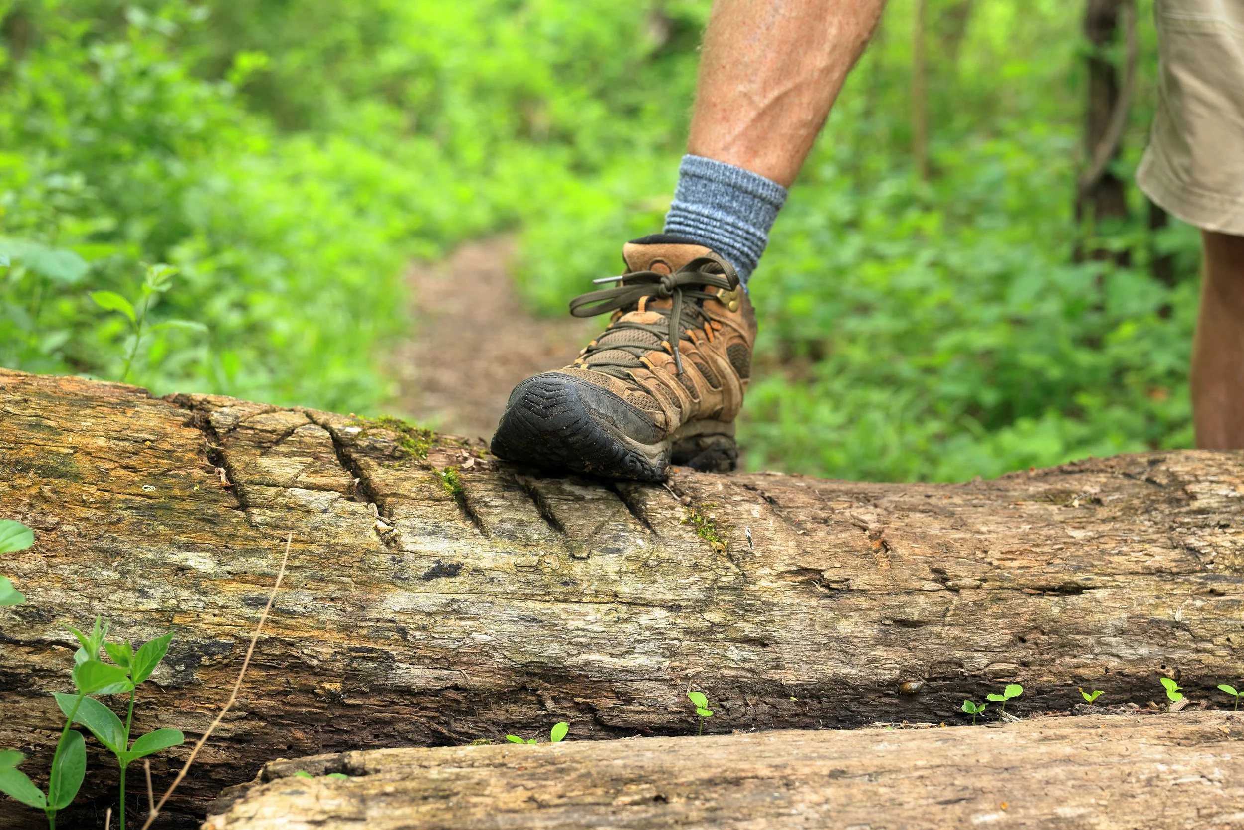 Ponder Your Path (Proverbs 4:26)
