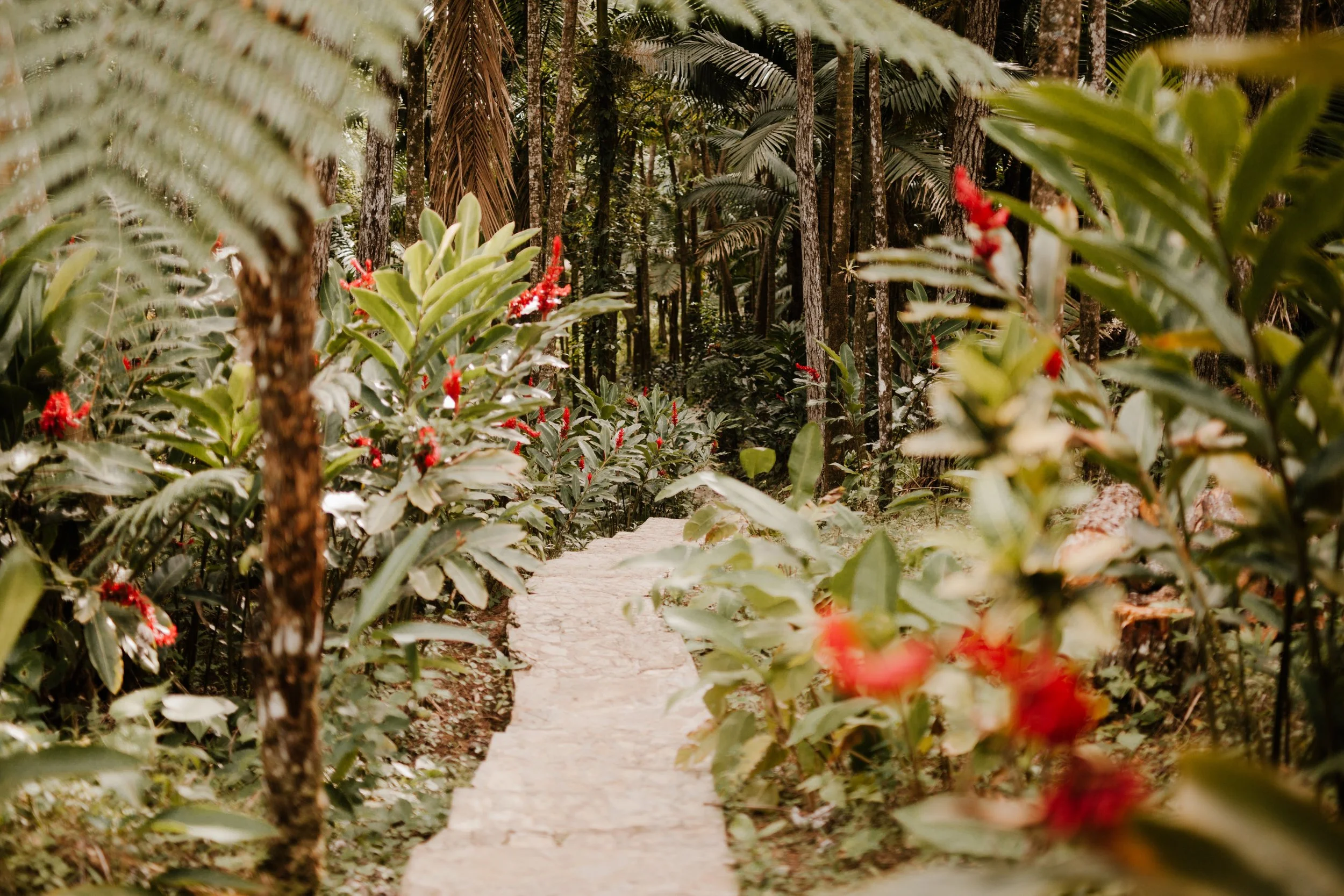 The Priceless Path of Integrity (Proverbs 28:6)