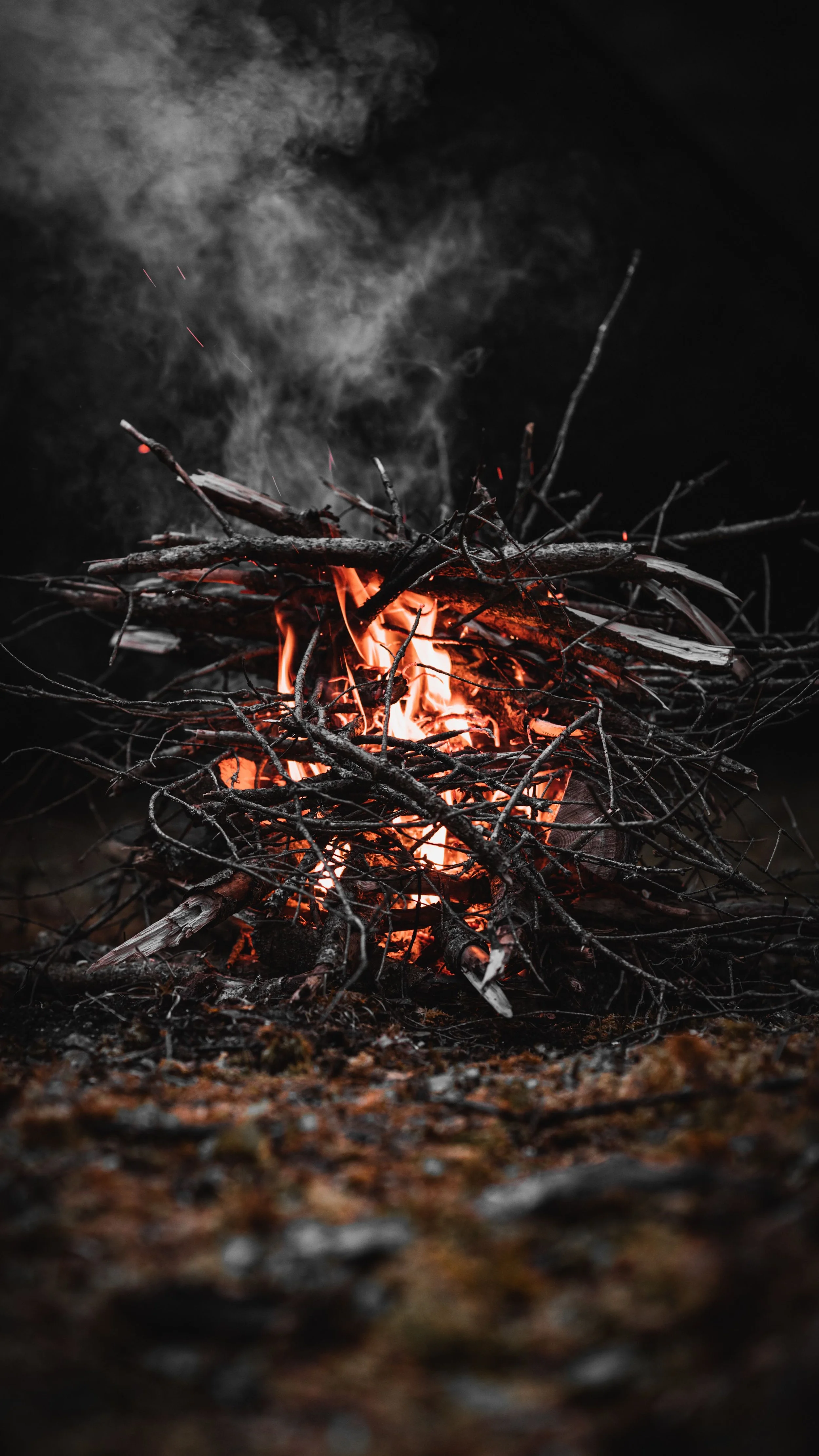 Friendly Fire: When Companions Burn You (Proverbs 22:24–25)