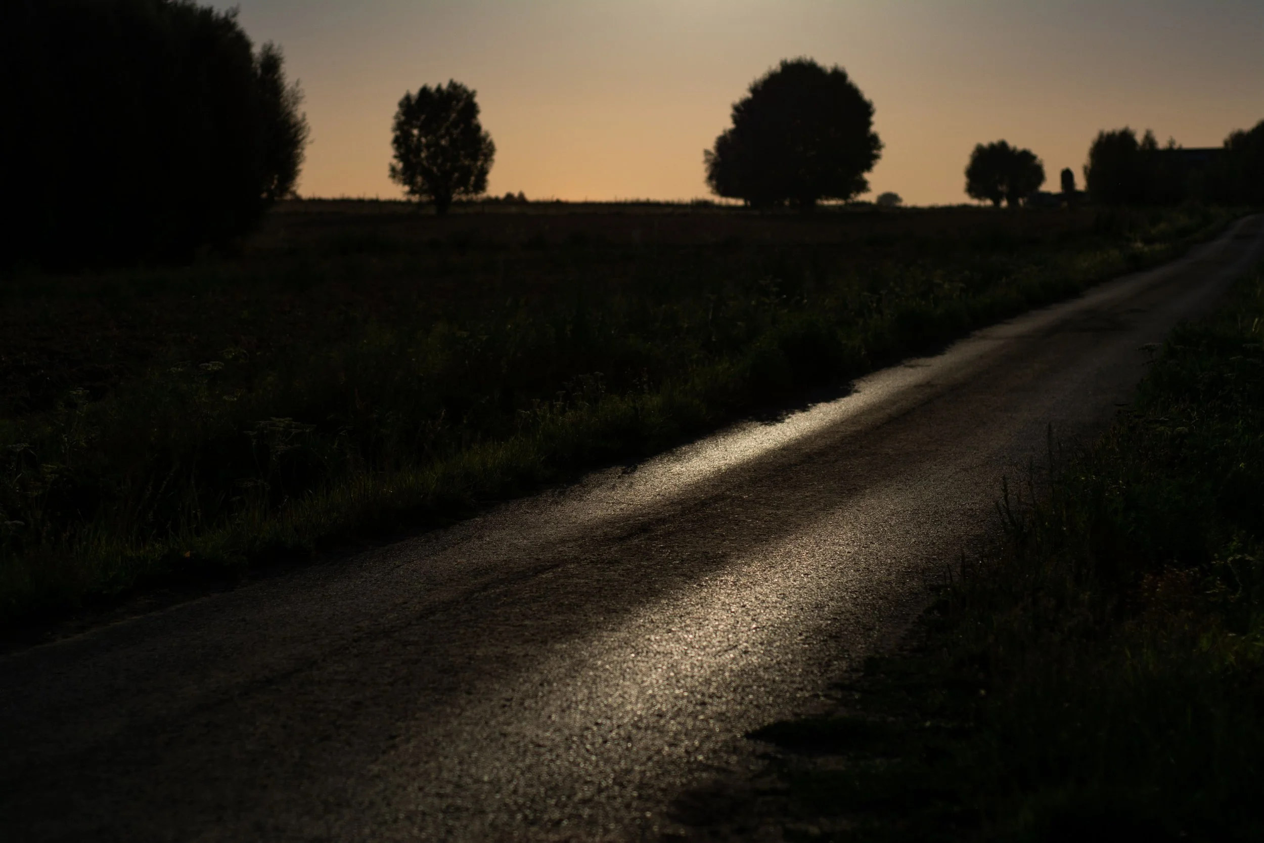 The Honor of Staying Out of It (Proverbs 20:3)