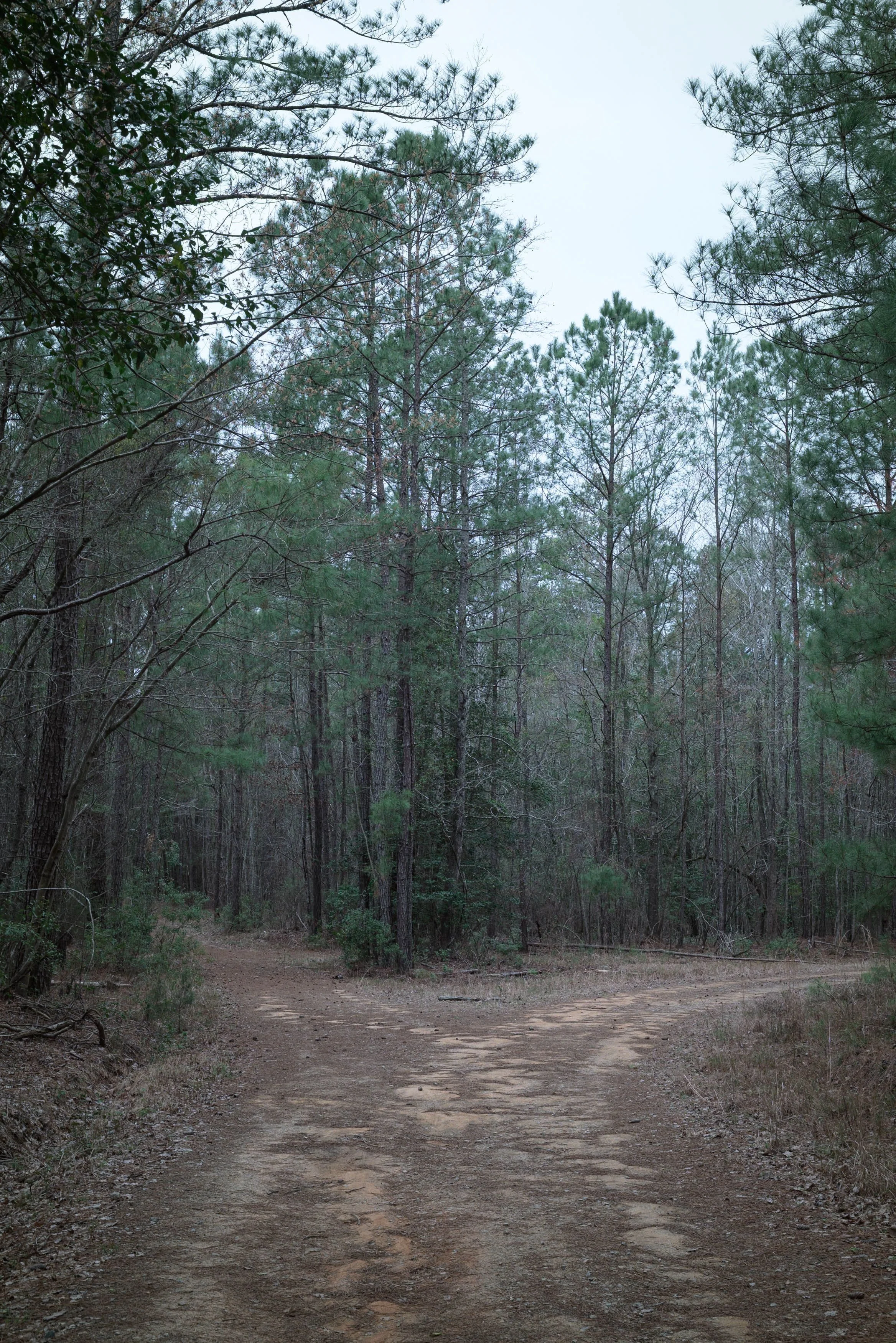 Life or Death (Proverbs 19:16)