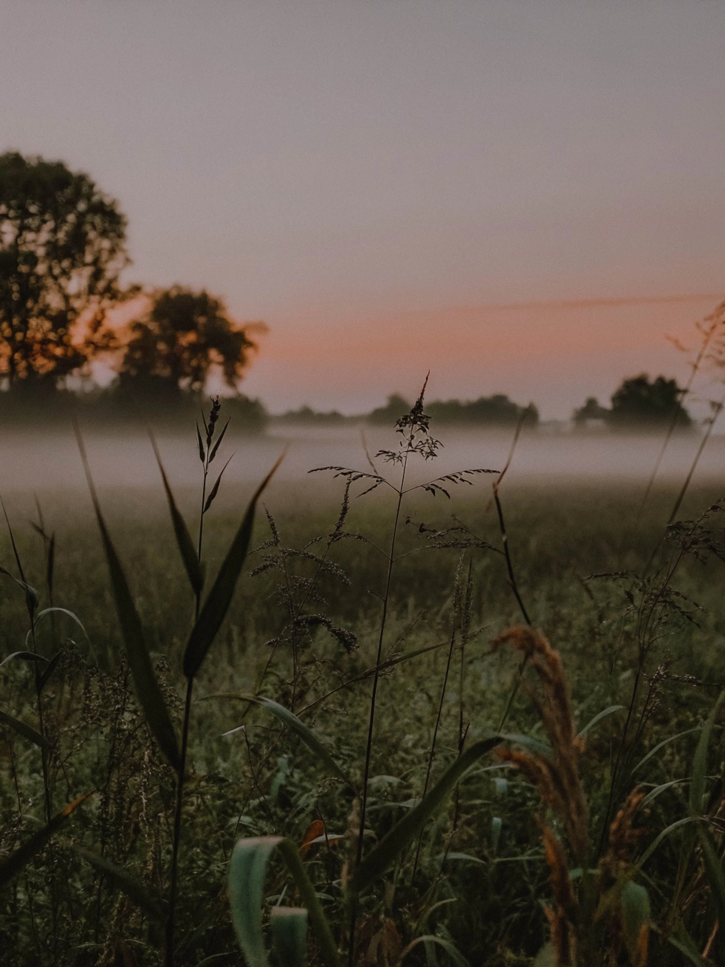 Real Treasure That Never Fades (Proverbs 21:6)